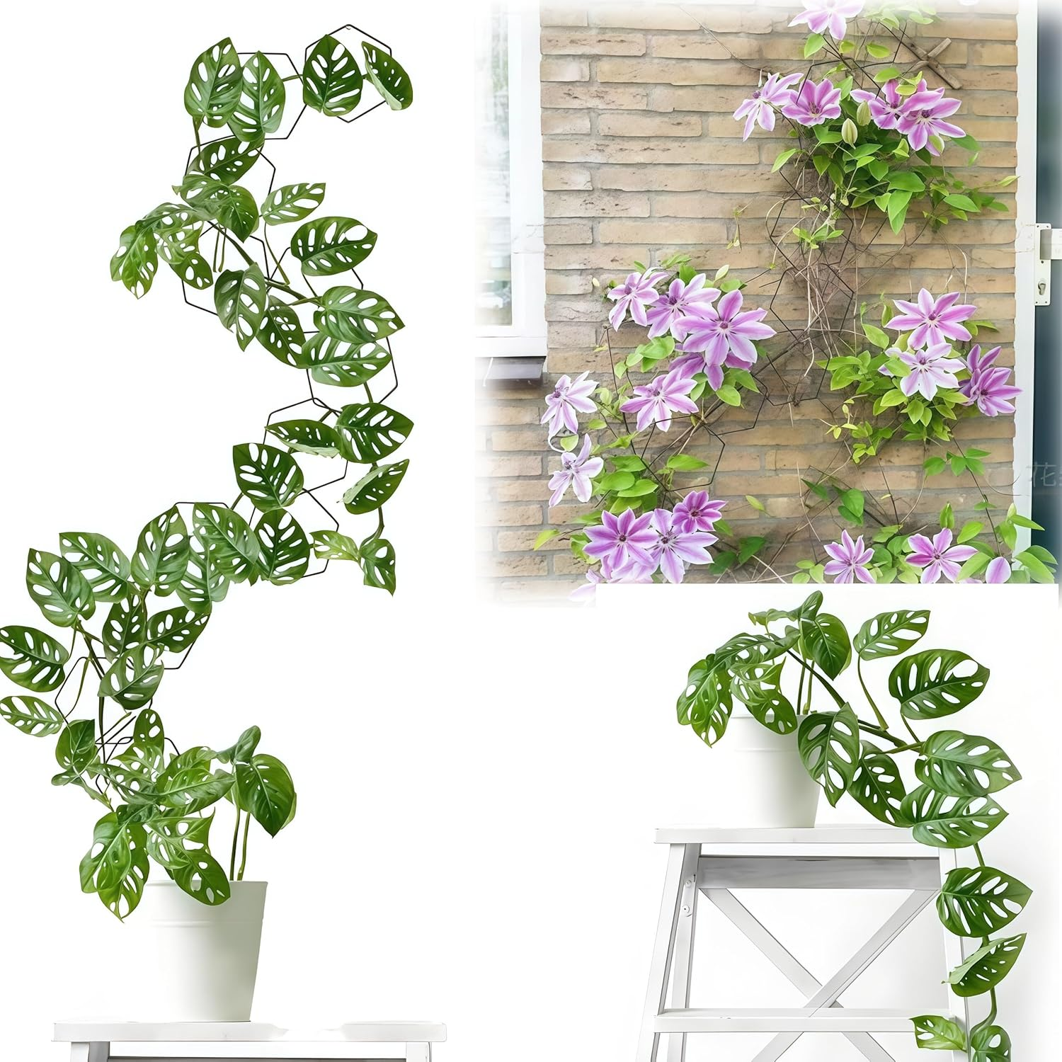 Chain Trellis for Climbing Plants 18-Piece Set,Garden Wall Trellis and Plant Vine Support Indoor&Outdoor House Plant Accessories,With 6 Fixed Hooks,Six-Art Iron Ring Flower Stand image number 3