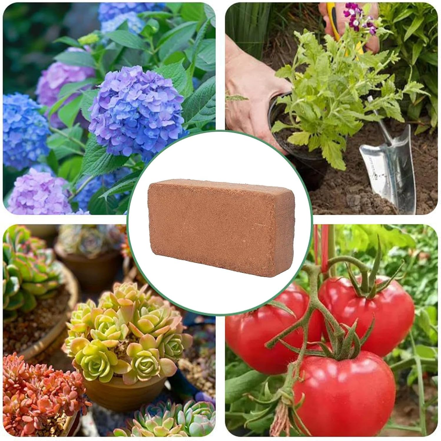 Coco Brick - Coco Peat | Ph-Balanced Supplies Potting Flower Soil for Indoor Outdoor Gardening Vegetables Houseplants image number 3