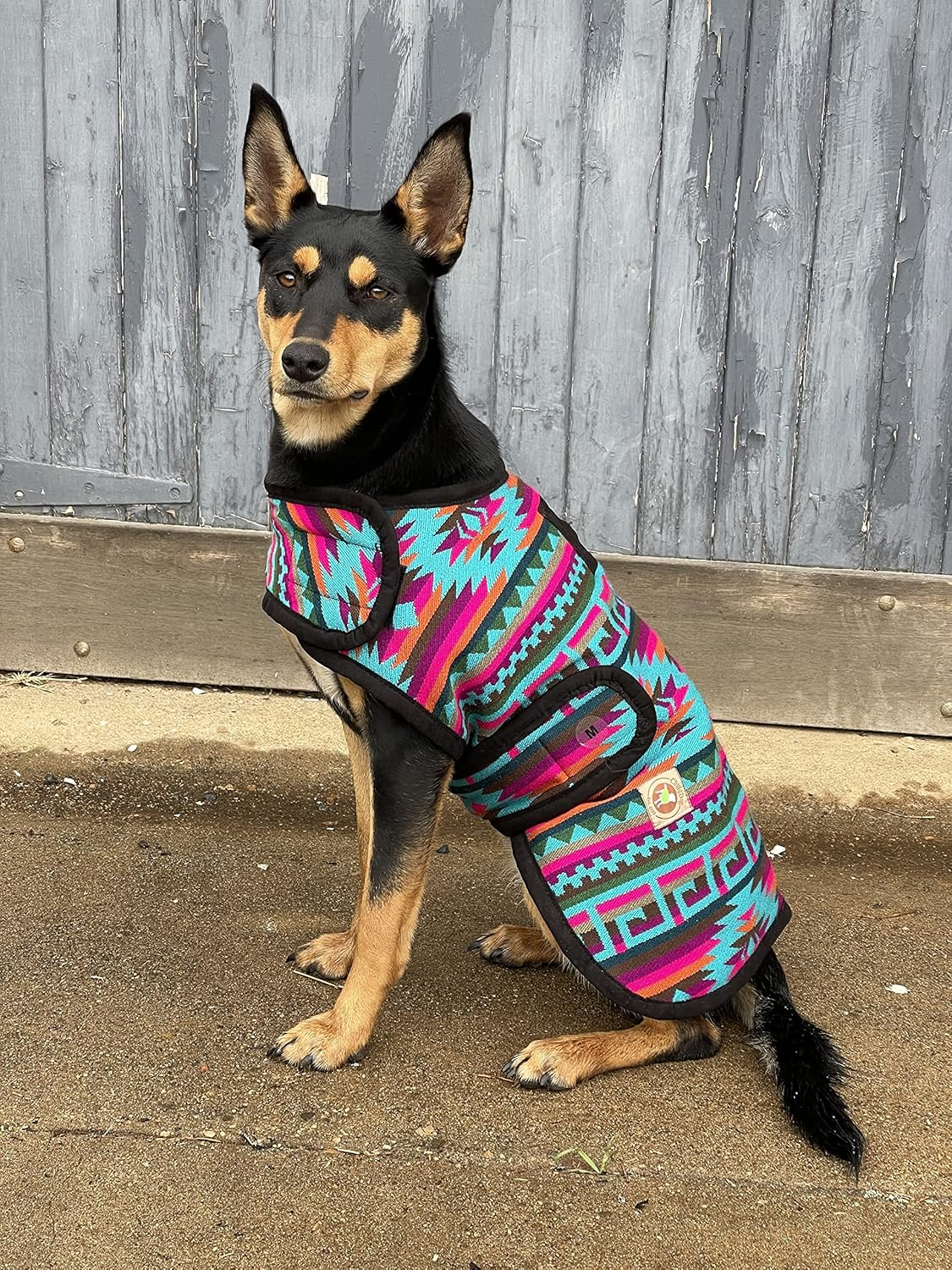 Chilly Dog 300407 Dog Coats, Medium