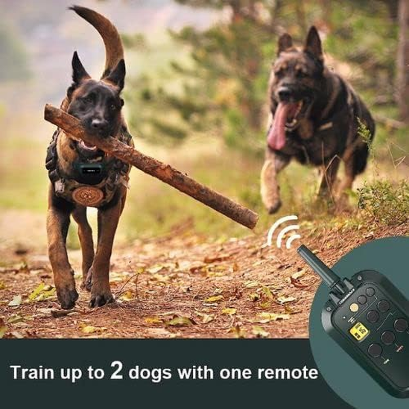 HW900 Waterproof Outdoor Dog Training Collar for Medium to Large Dogs with Remote, Beep Tone, Vibration, and Bark Control (1 Collar) image number 1
