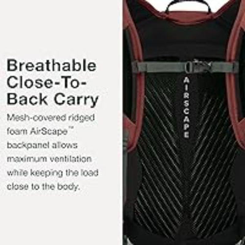 Osprey Osprey image number 3