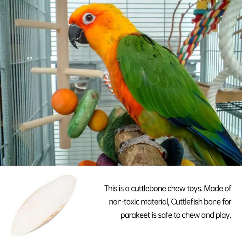 Parakeets Cuttlebone, Bird Cuttlebone Chew Toy Parrot Cuttlefish Bones Natural Safety Chewing Cuddle Bone 10PCS for Indoor image number 1