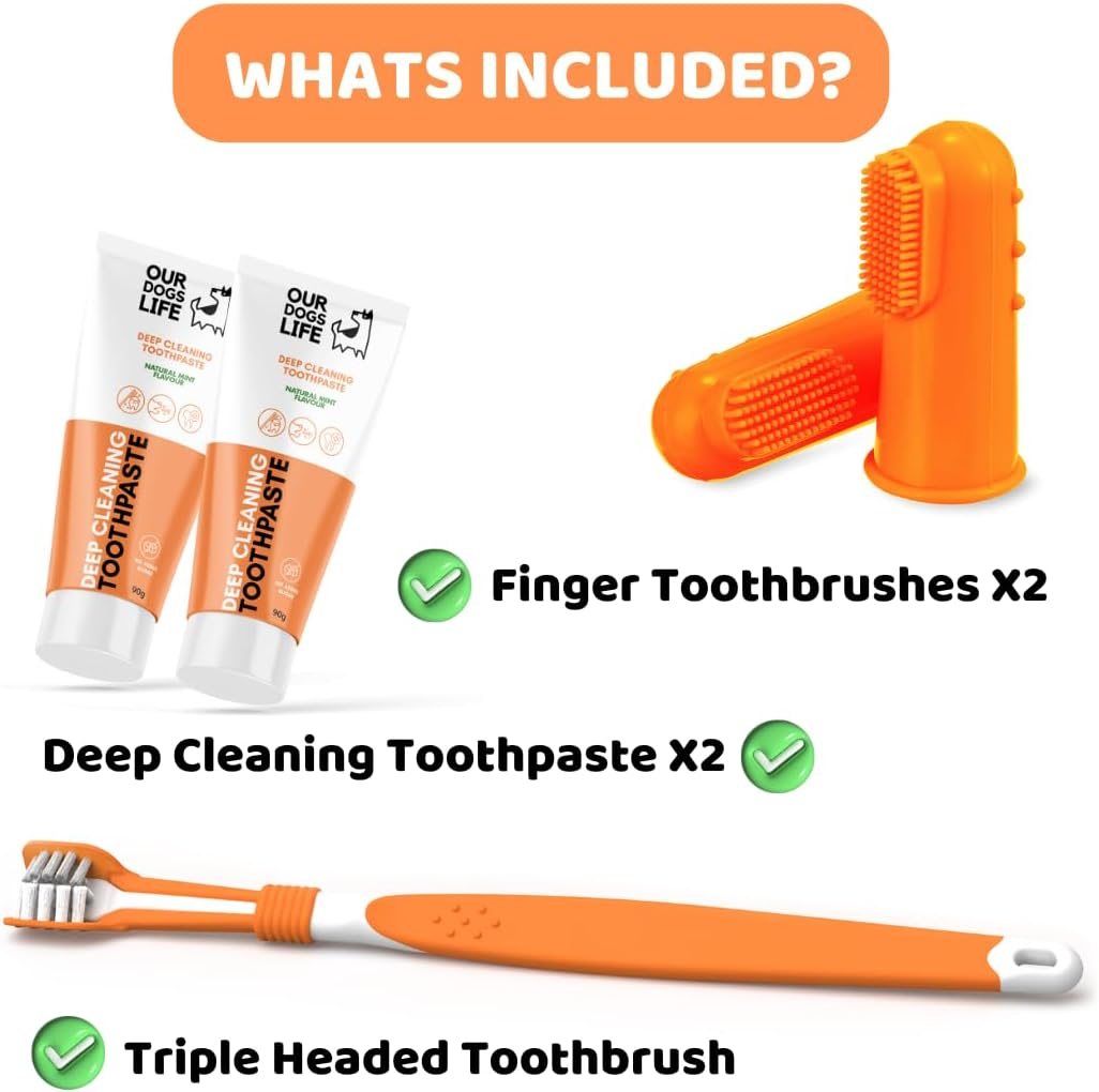 Dog Toothbrush with Toothpaste | Approved Dog Dental Kit | One Triple Headed Deep Cleaning Toothbrush for Dogs + Two 100% Natural Toothpaste + Two Finger Brushes | Freshen Breathe & Remove Plaque image number 6