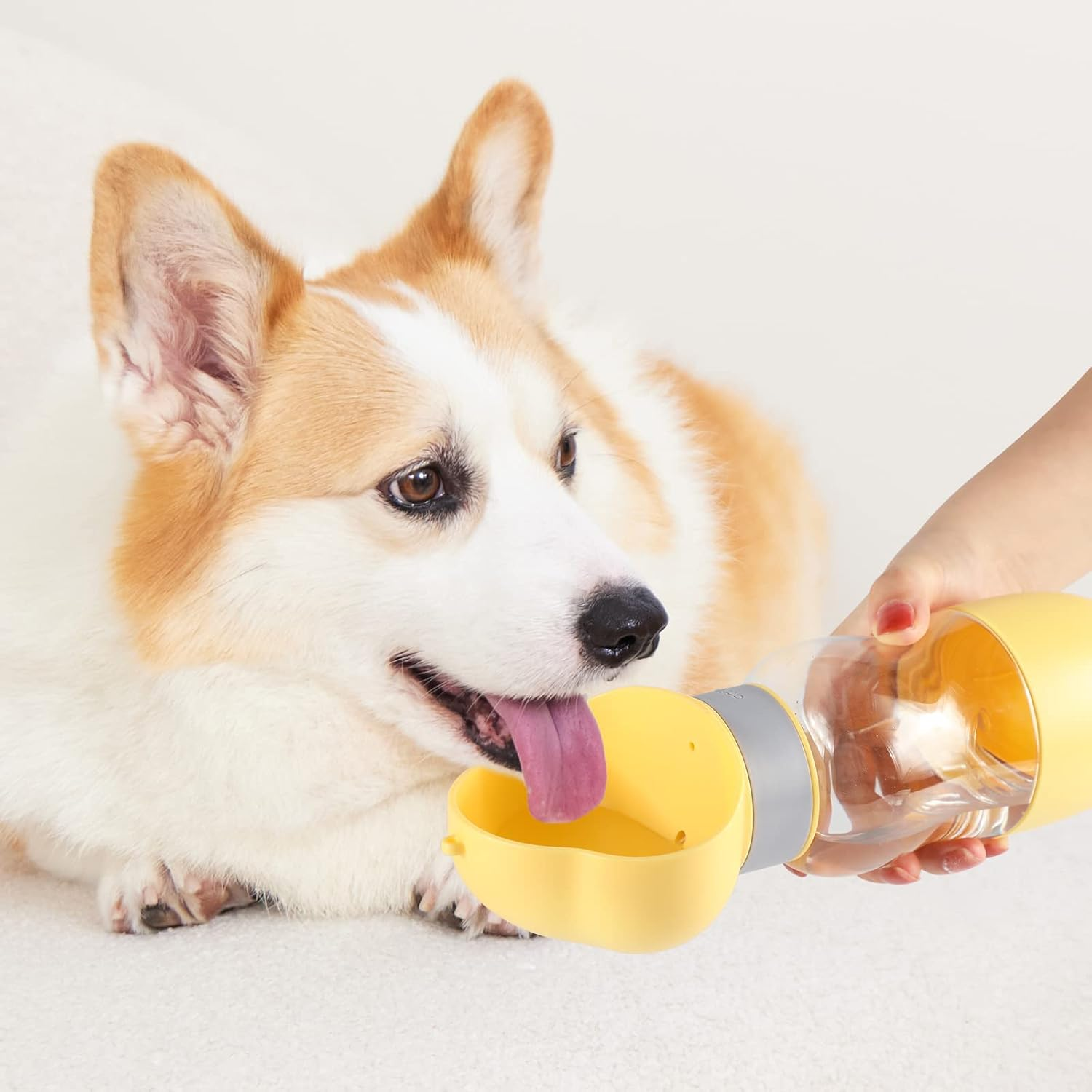 Zalati Dog Water Bottle 2-In-1 Portable Dog Water Feeder Container Feeding Bowl for Hiking Travel to Go 12.7 Oz image number 4