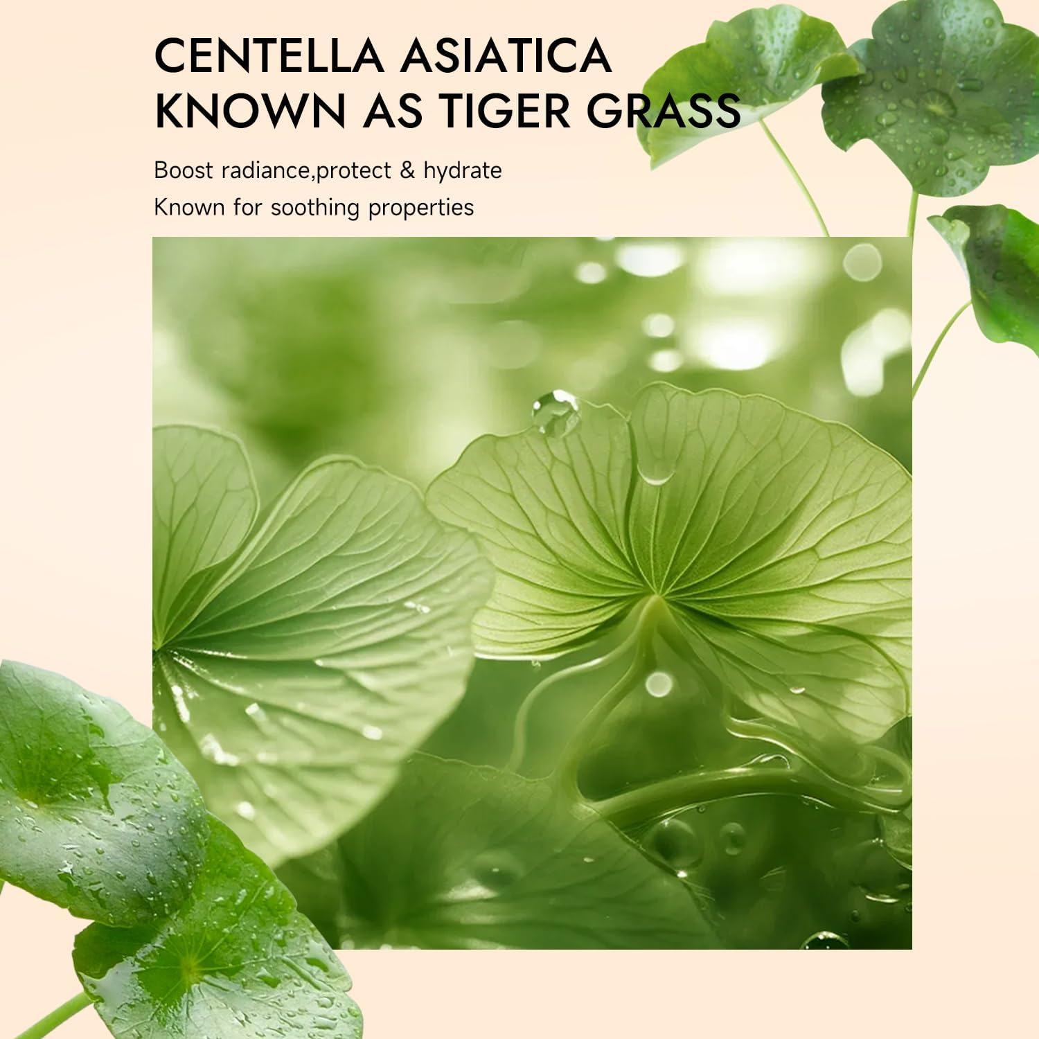 Multi-Purpose CC Cream with SPF 25 - Full Coverage Hydrating Foundation, Color Corrector & Primer with Centella Asiatica | Moisturizing Concealer & Sunscreen (LIGHT, CC Cream) image number 1