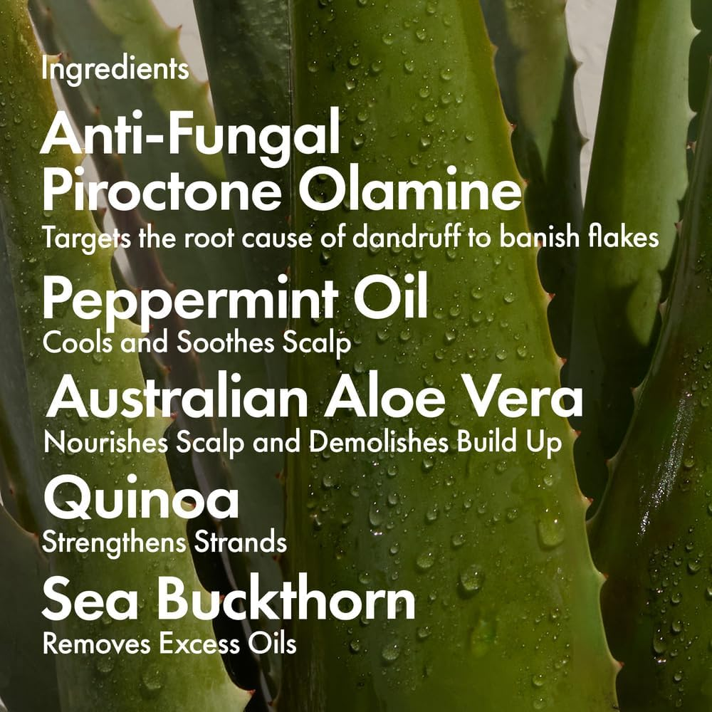 BONDIBOOST Anti-Dandruff Repair Shampoo: Soothe and Revitalize Your Scalp - Relief for Itchy, Flaky, and Irritated Scalp, Promotes Healthy Hair and Long-Lasting Comfort image number 2