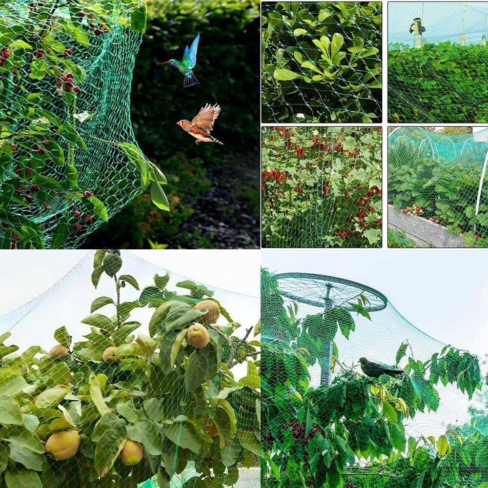 Armastuse Bird Protection Net, Garden Pool Pond Plant Net for Pigeon and Bird Repellent (10 X 6 M) image number 3