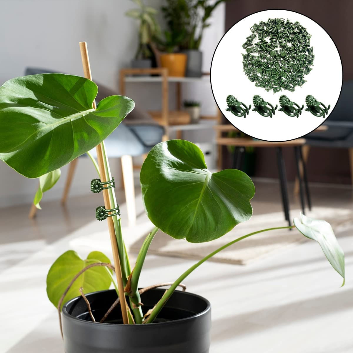 Plant Clips, 100PCS Orchid Support Clips for Supporting Stems Vines Grow Upright (Green) image number 1