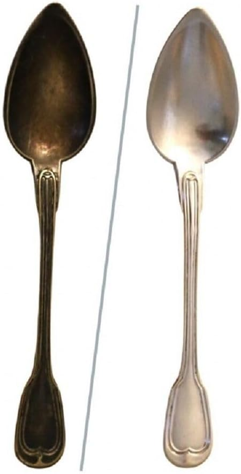 Silver Bath Pro 580Ml 101159 image number 2