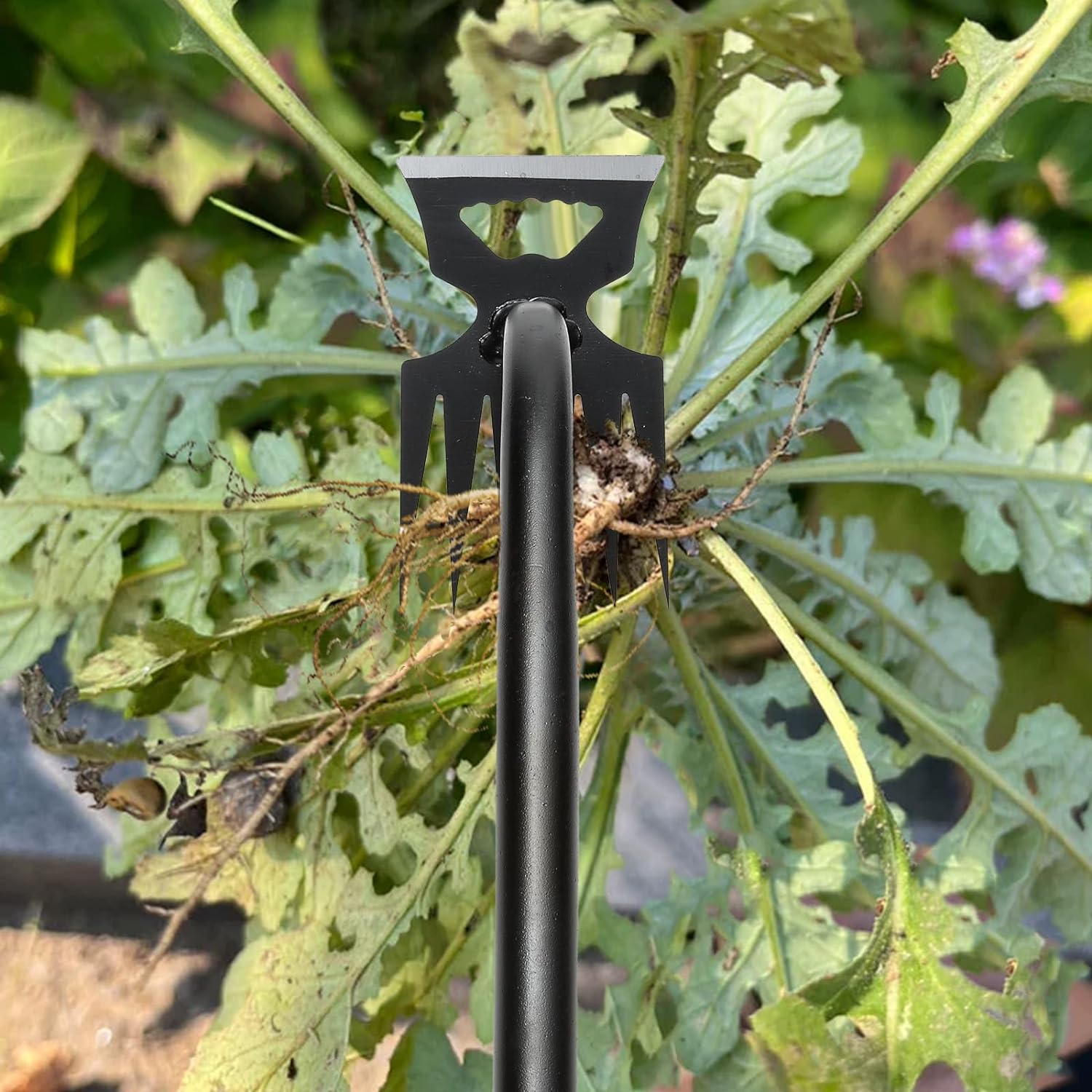 Gardening Hand Weeder Tools, Weeding Artifact Uprooting Weeding Tool, Durable Manganese Steel Hand Weeder Tool, Manual Multifunctional Weeders Gardening Tools for Yard and Garden (6 Tines) image number 2
