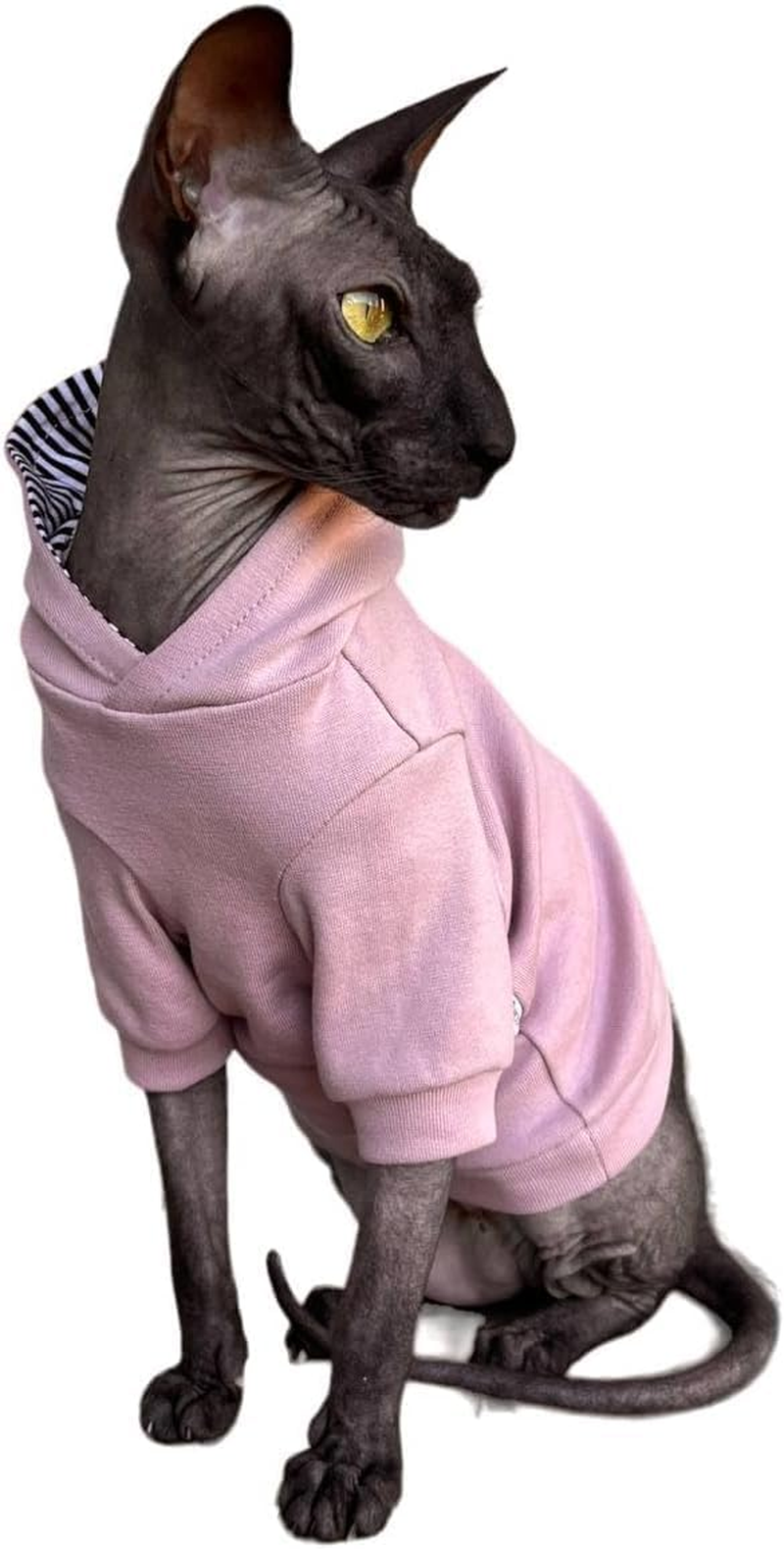 Kotomoda Sphynx Cat Hoodie Naked Cat Hairless S