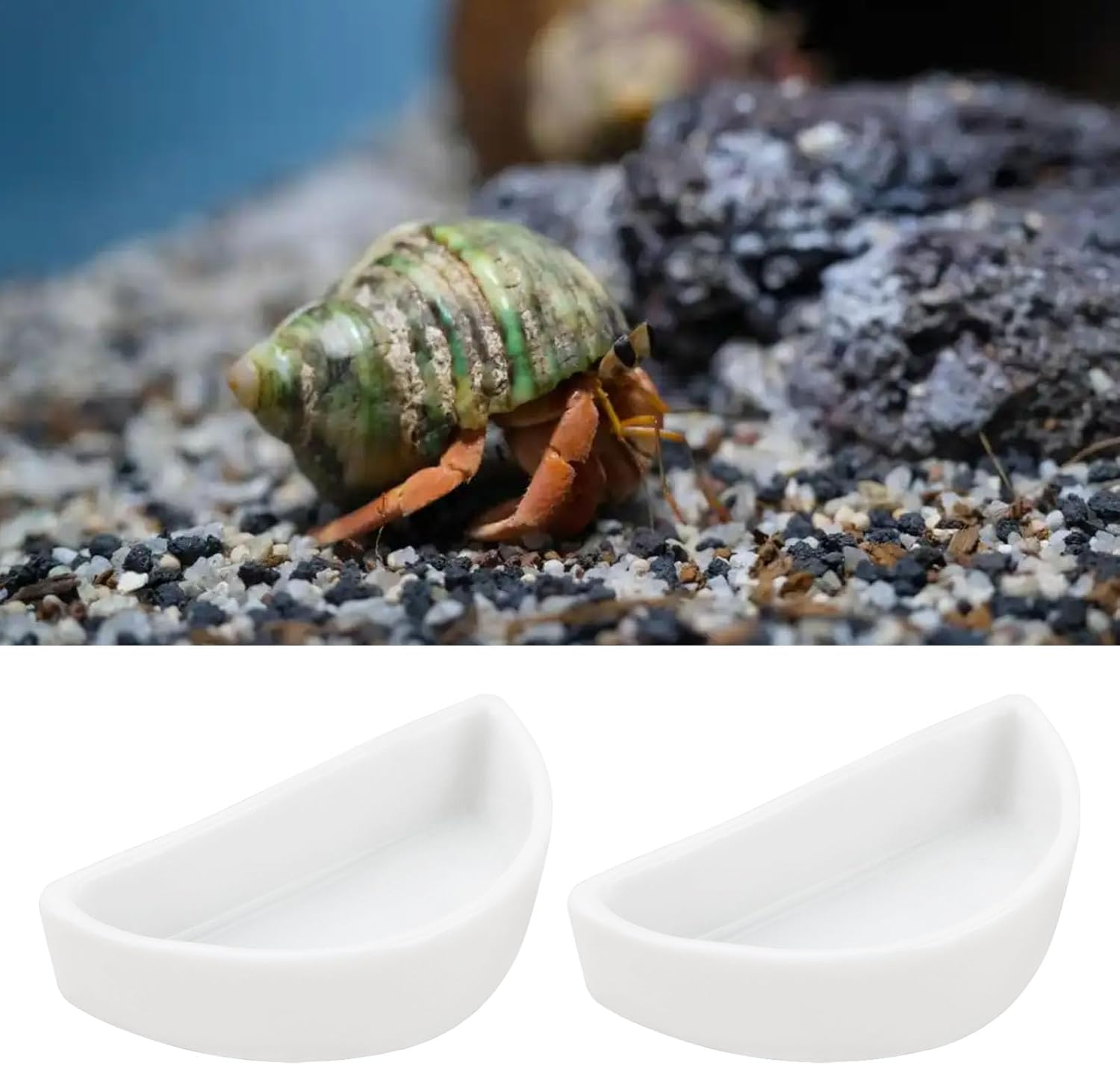 Ecsing 6PCS Hermit Crab Mini Ceramic Dish 4.21X2X1.05Cm Semicircle Shape Reptile Food Bowl for Spider Hermit Crab Tarantula Millipede White image number 3