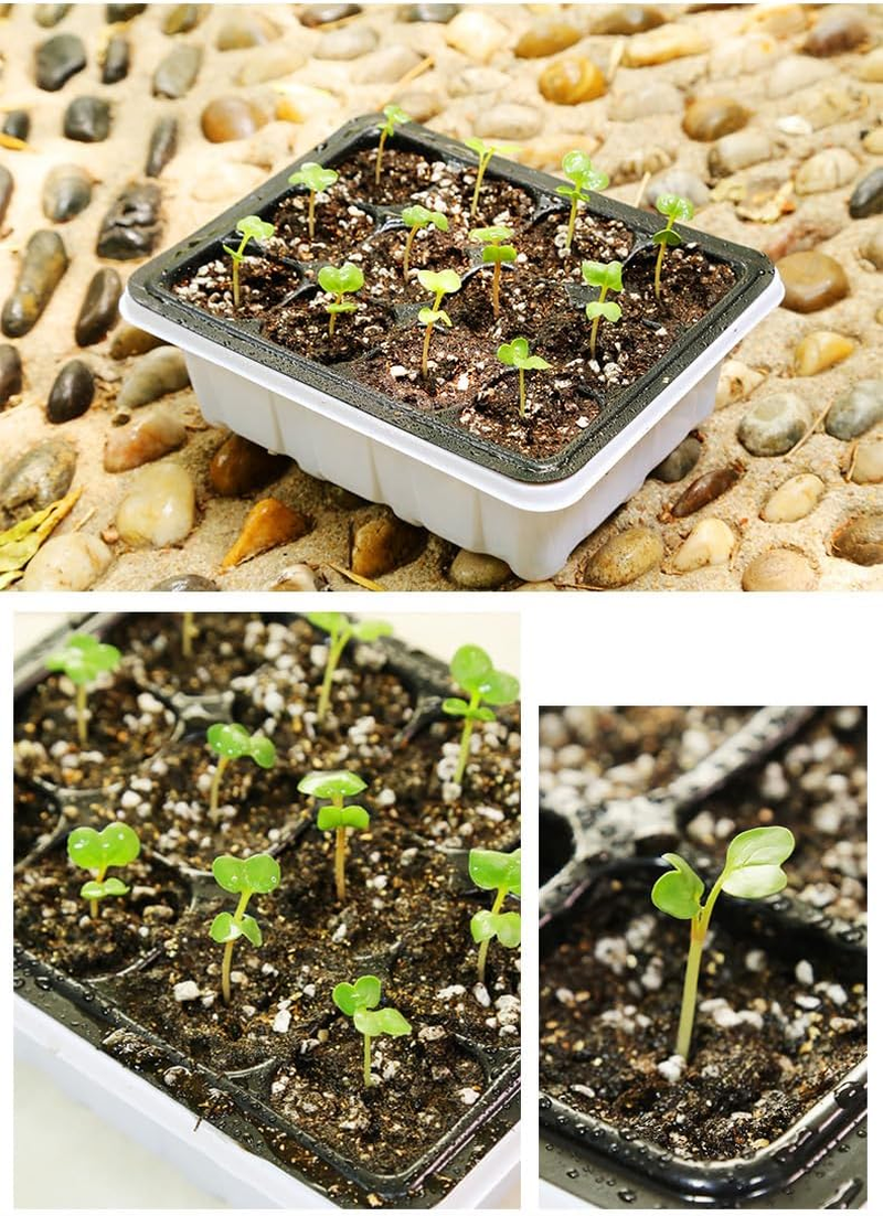 Tootoo 10 Set 12 Hole Plant Seed Grow Box Propagation Nursery Seedling Starter Tray image number 2