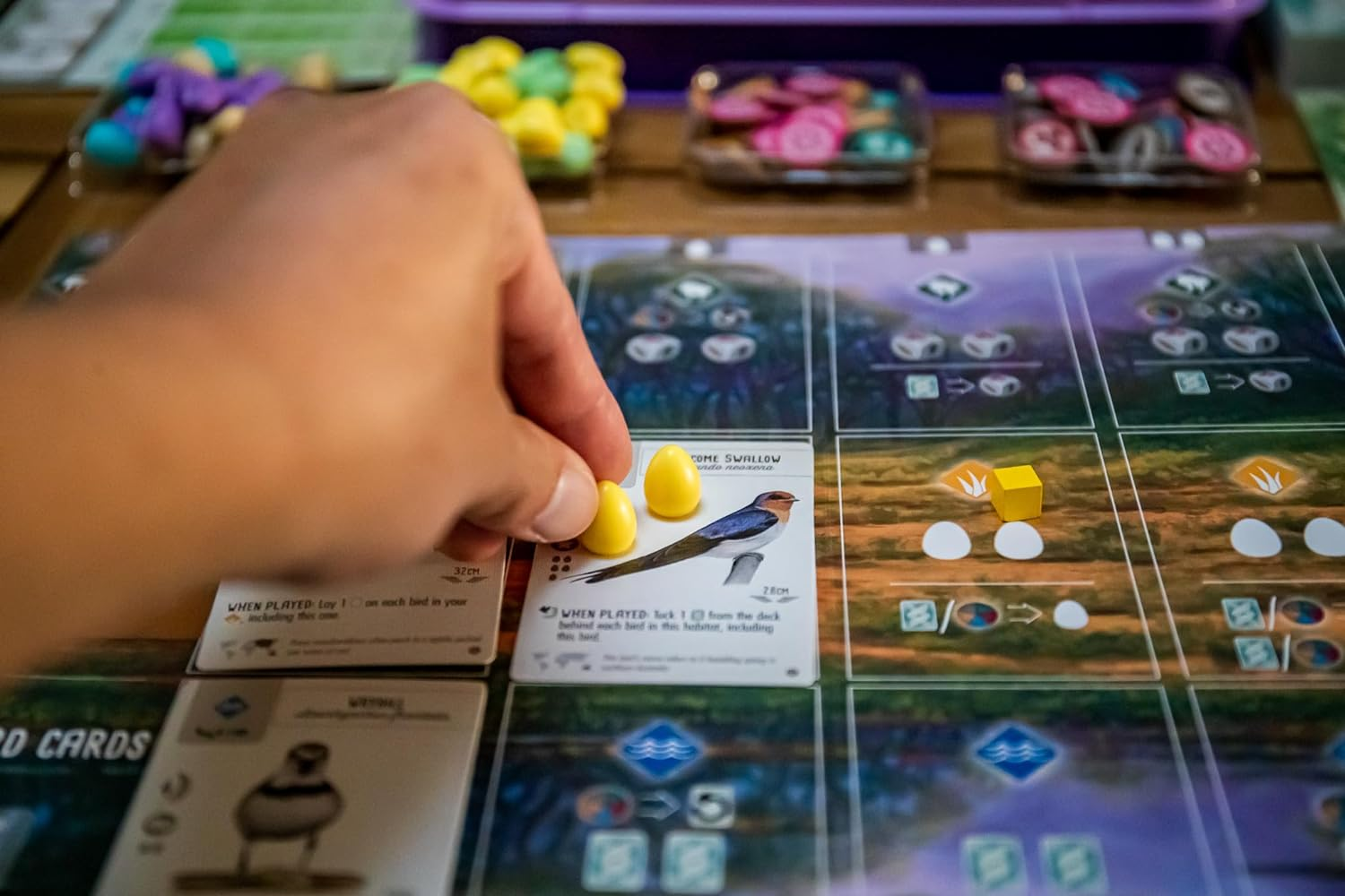 Stonemaier Games Wingspan Oceania Expansion Orange image number 1