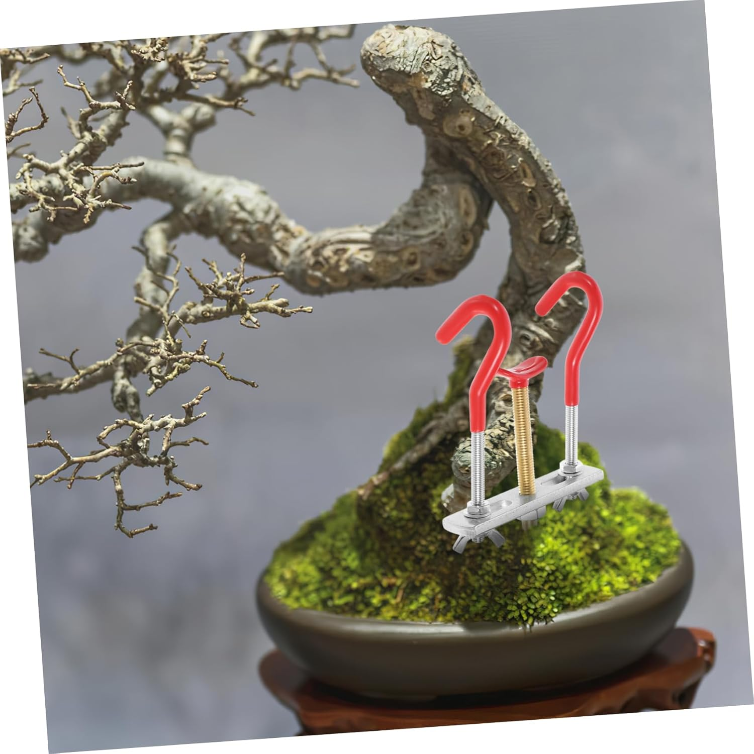 Bonsai Tools Plant Bender for Garden Use Small Branch Regulator with Sturdy Material and Ergonomic Design for Bonsai Styling and Tree Branch Adjustment