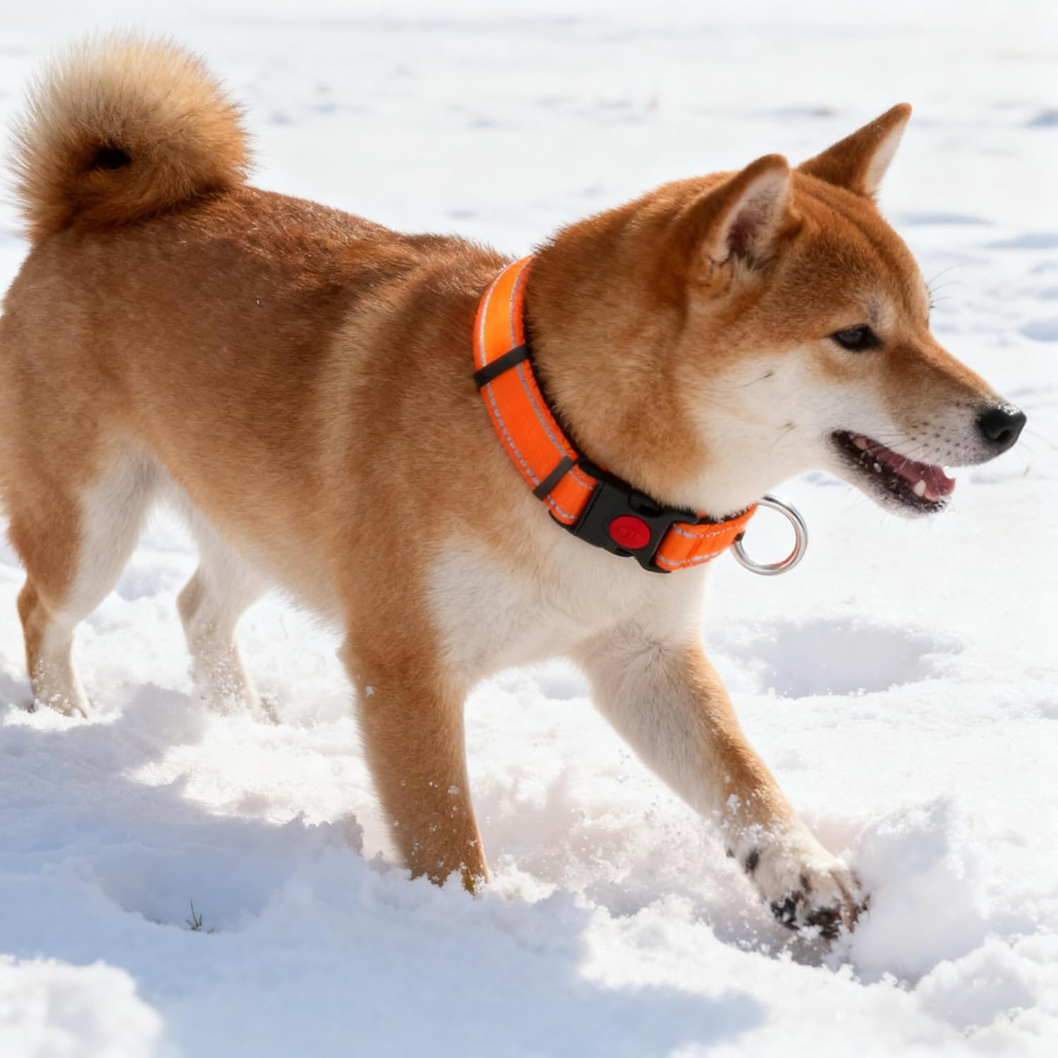 Reflective Nylon Dog Collar with Safety Buckle, Adjustable Pet Collars with Soft Neoprene Padding (Orange, M) image number 7