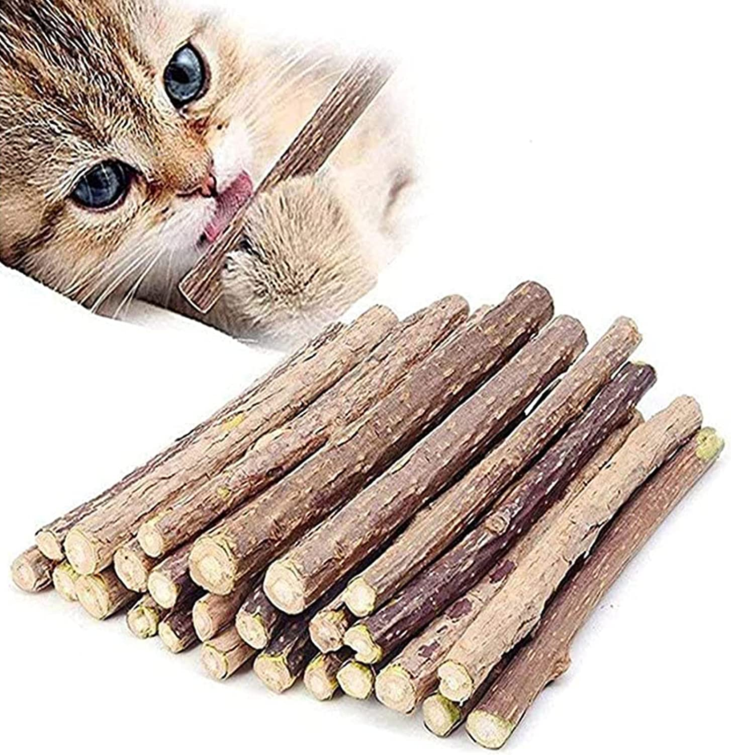 Ueerdand Organic Cat Chew Toys Natural Matatabi Silvervine Cat Teeth Cleaning Chew Sticks (50 Pcs)