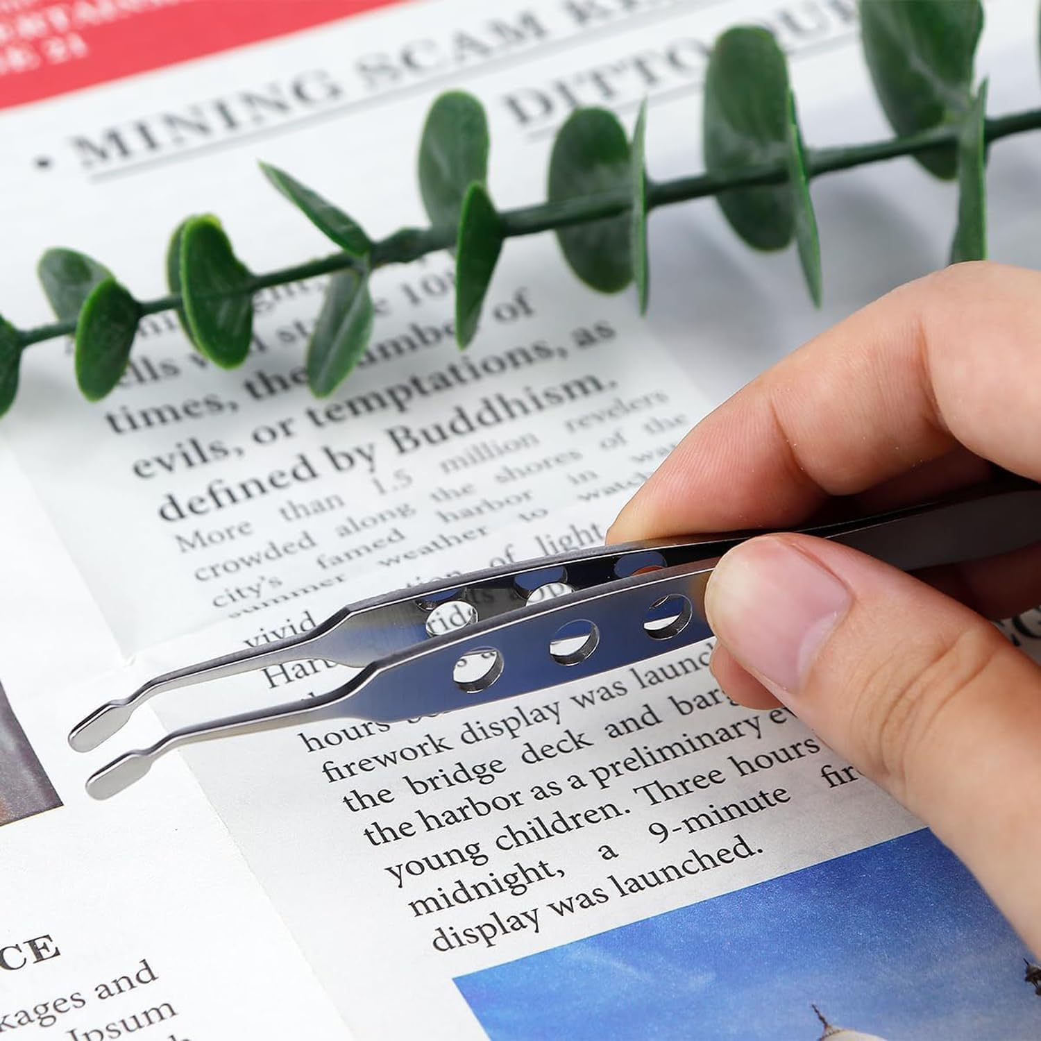 Lexziuo 1PCS Eyelid Forceps - Stainless Steel Meibomian Gland Expressor Tweezers with Non-Slip Handle, Precision Medical Instrument for Ophthalmology & Beauty Salon