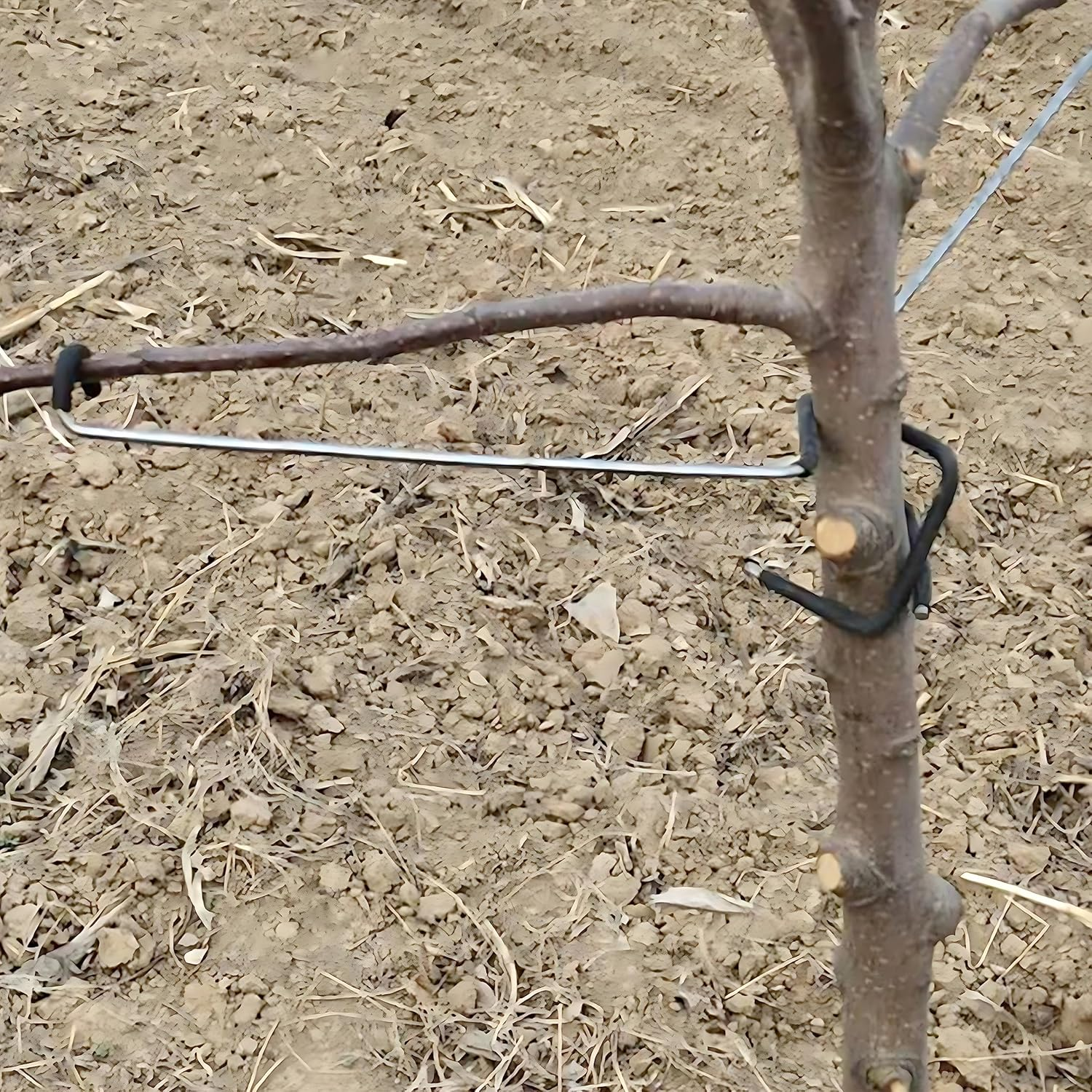 Limb Spreaders Fruit Trees Branch Spreaders Tree Branch Support Tree Limb Spreader Limb Spreader Tree Brace Tree Branch Hook 5Pcs