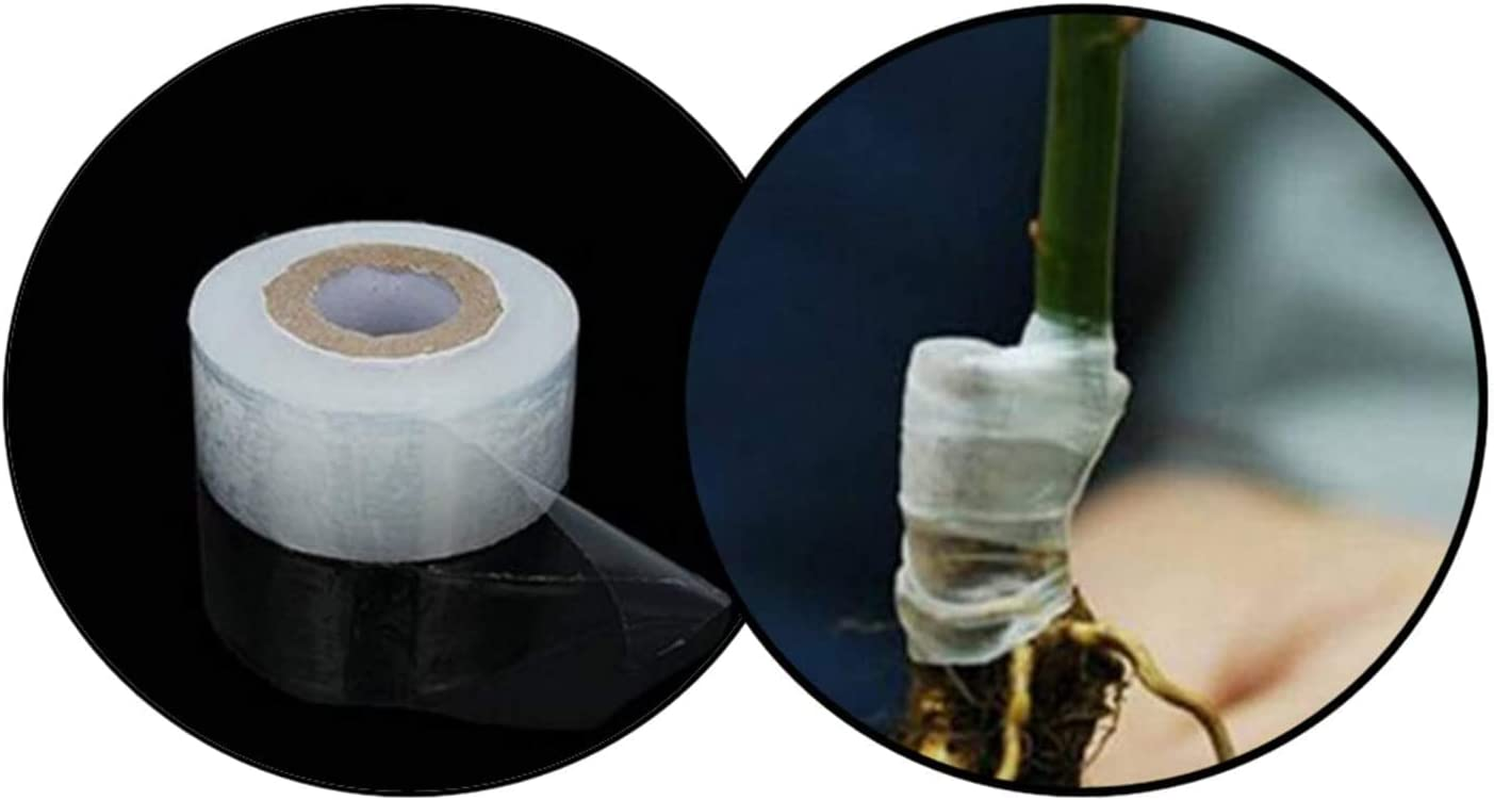 Grafting Tape - 2 Pack Bio-Degradable Moisture Barrier, Stretchable Clear Floristry Film for Fruit Tree Plant image number 4