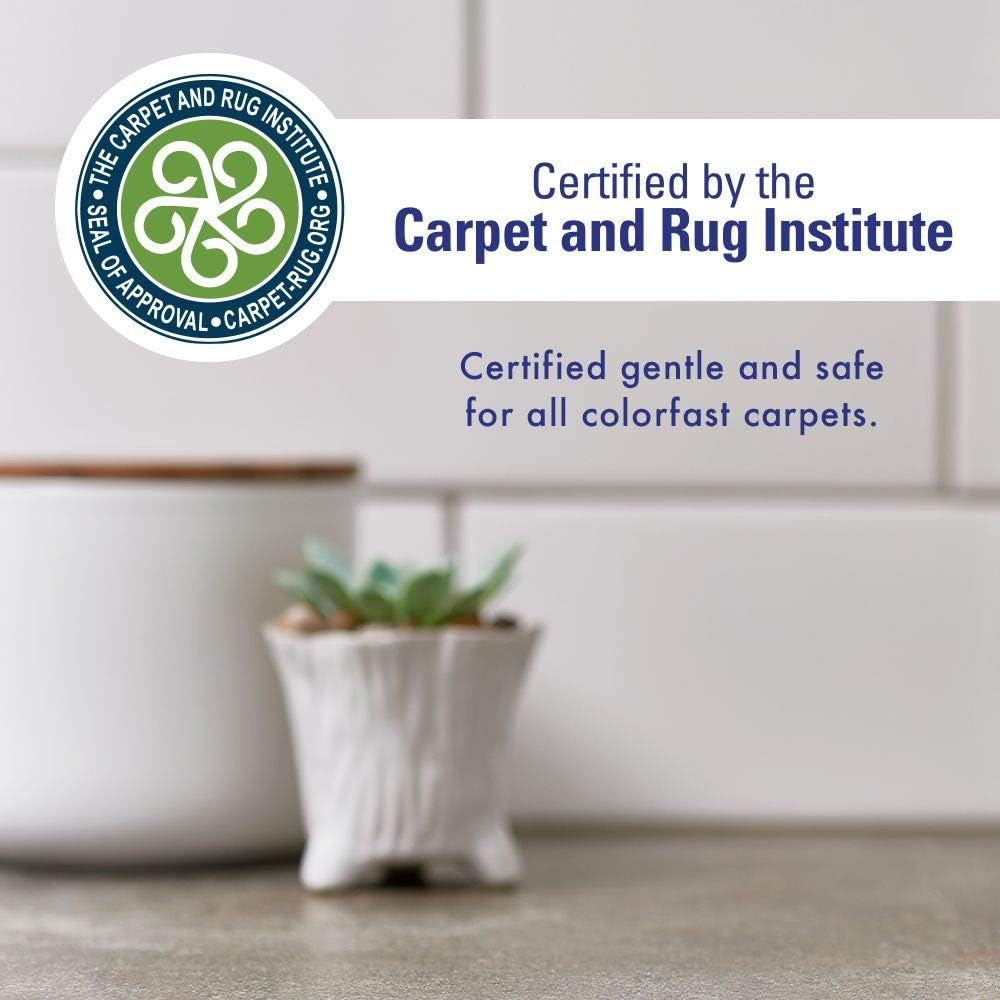 Rocco & Roxie Supply Co Professional Strength Stain & Odor Eliminator - Enzyme-Powered Pet Odor & Stain Remover for Dog and Cats Urine 1 Gallon