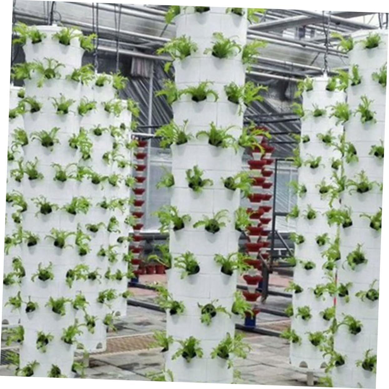 BEBEMOKO Vertical Hydroponic Garden Reusable Planting Cups for Space Gardening Enhance Your Indoor Decor image number 6