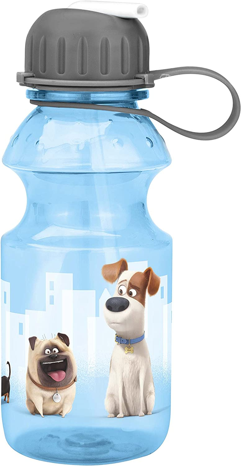 Zak Designs Minecraft - Stainless Steel Water Bottle with One Hand Operation Action Lid and Built-In Carrying Loop, Kids Water Bottle with Straw Spout Is Perfect for Kids (15.5 Oz, 18/8, Bpa-Free)