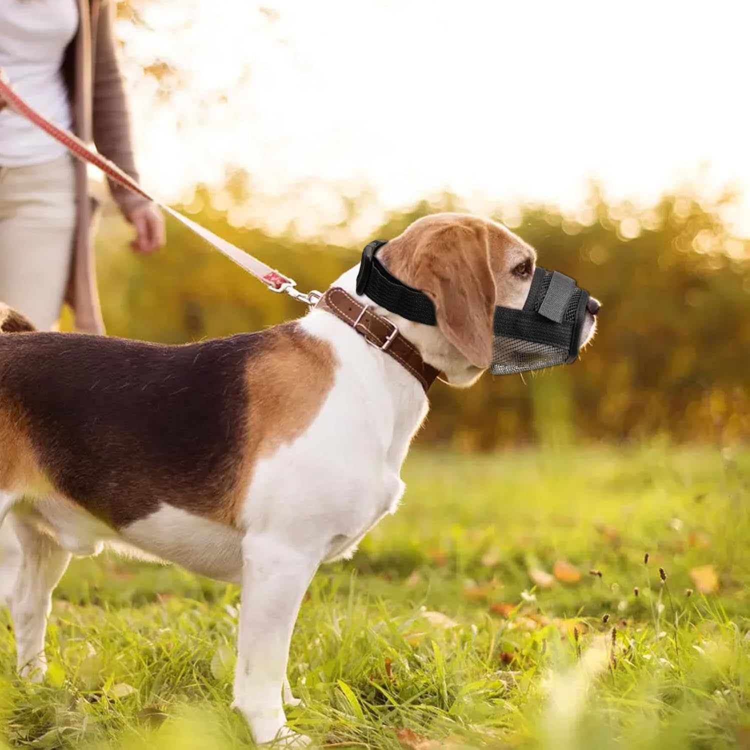 Viiotu Dog Muzzle, anti Barking Device for Small, Medium, Large Dogs, Adjustable Soft Breathable Mesh Muzzle, Prevents Biting,Barking,Chewing (Black, L) image number 5