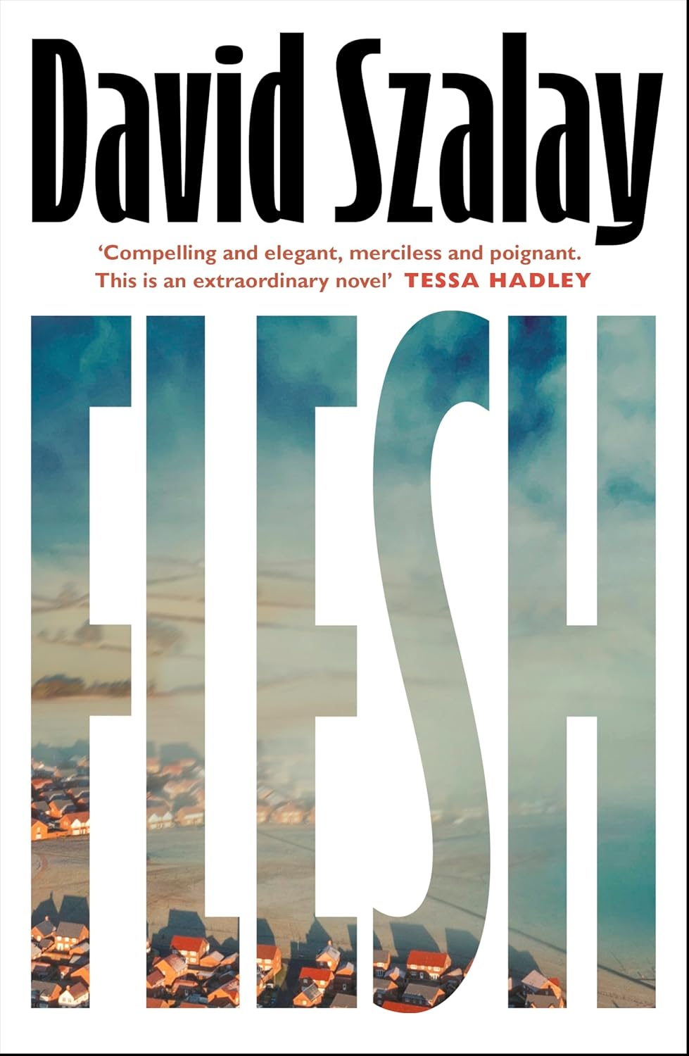 Flesh: the Addictive and Darkly Funny New Novel from the Booker-Prize Shortlisted Author
