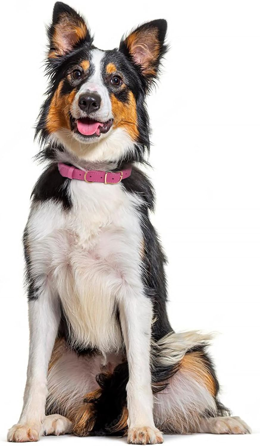 MUROM Rolled Leather Dog Collar Durable round Rope Pet Collars for Small Medium Large Dogs Puppy Pink Purple Green Red Brown Gray (8"-12" Neck Fit, Gray) image number 3