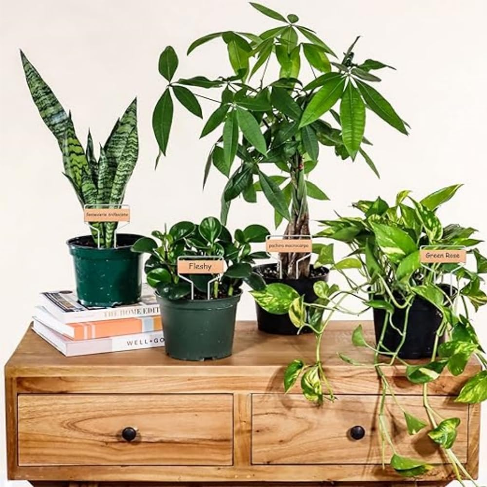 Copper Plant Tags, 10 Cm Garden Markers, 60 Pack with 2 Permanent Pens, Waterproof Metal Labels image number 2