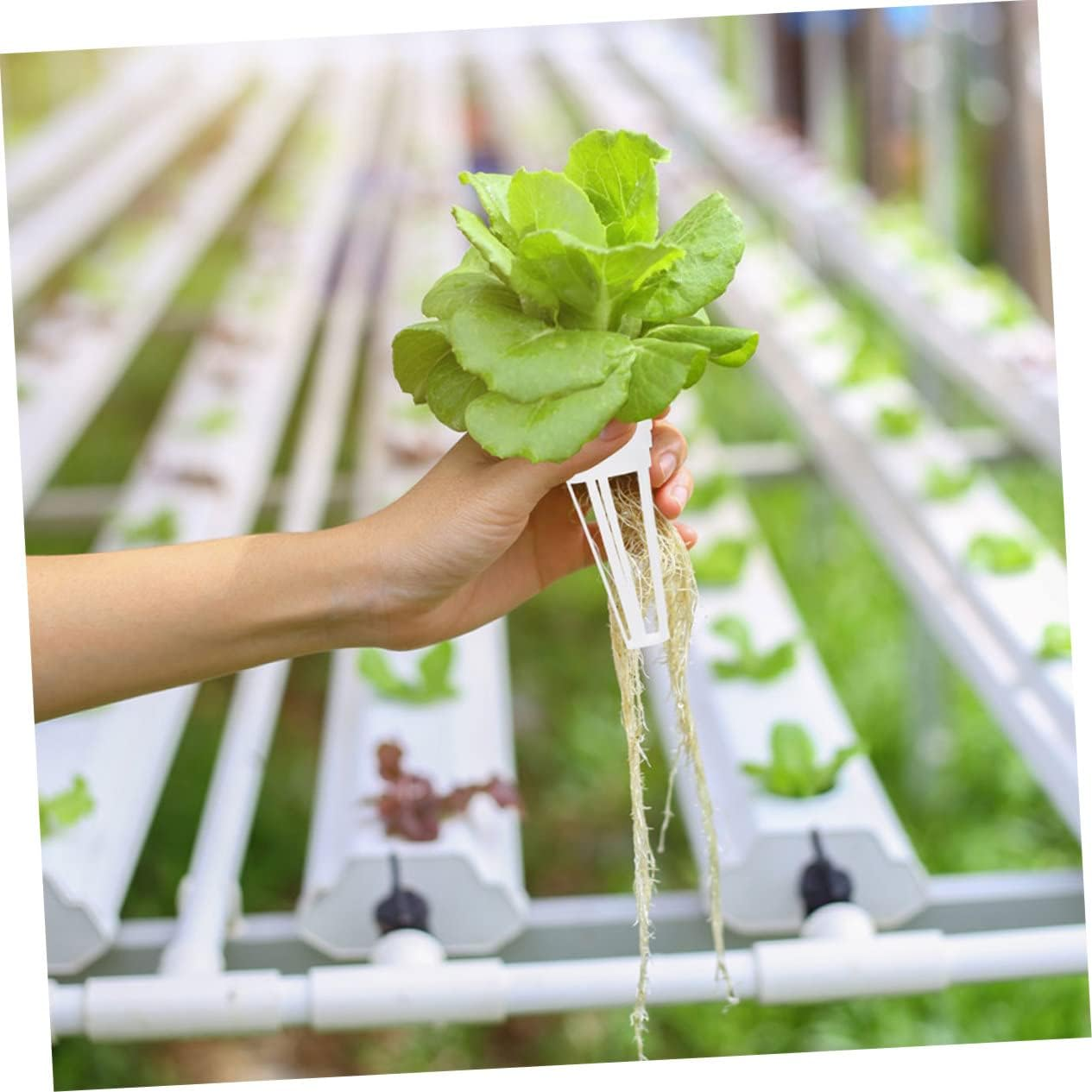 Yardwe 100Pcs Hydroponic Net Pots Mesh Cups for Plants Slotted Plastic Gardening Plant Baskets Grow Basket for Seedling Nursery and Hydroponic Systems image number 4