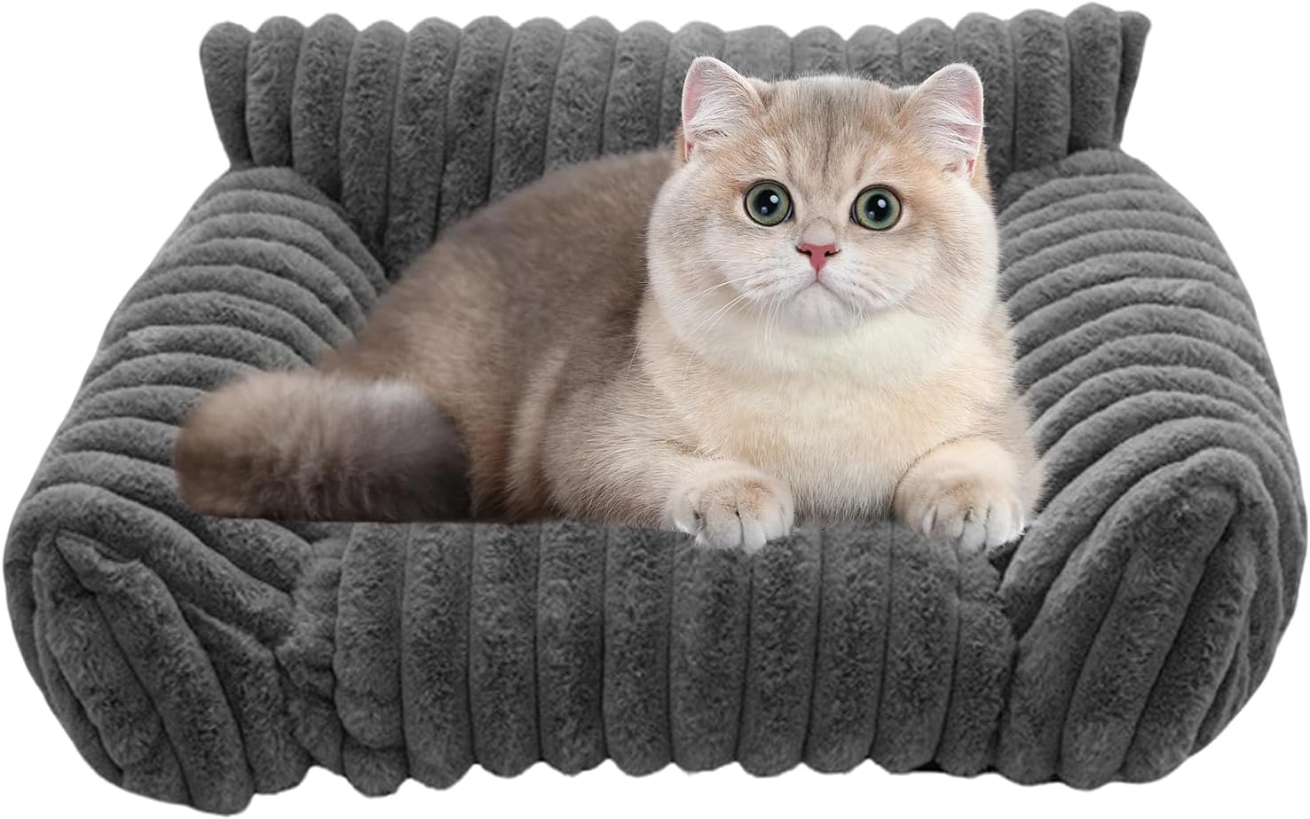 Cat Sofa Bed | Indoor Pet Couch | Elevated Cozy Cat and Dog Sofa Bed for Car Bedroom Apartment Travel Patio Indoors and Outdoors