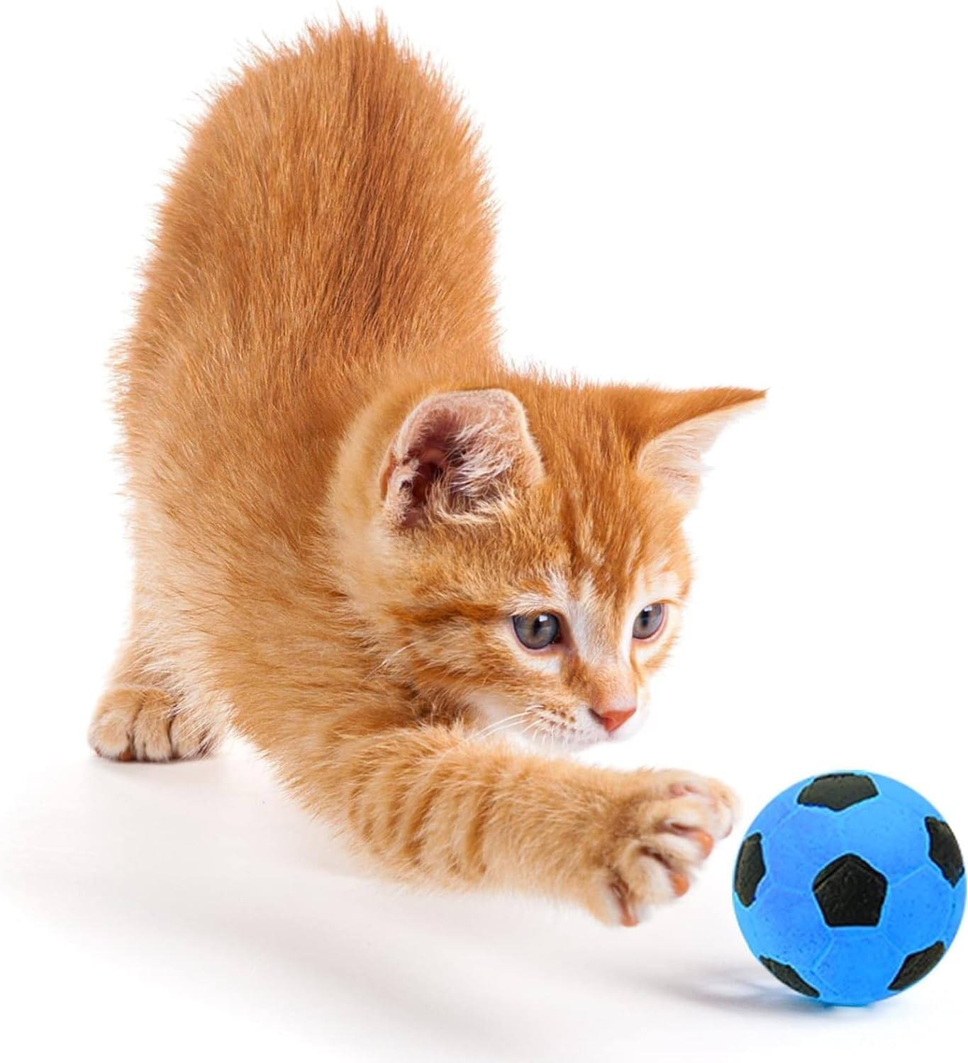 CHUANGOU Pack of 12 Football Cat Balls, Interactive Petball for Indoor Use, for Indoor Kittens.