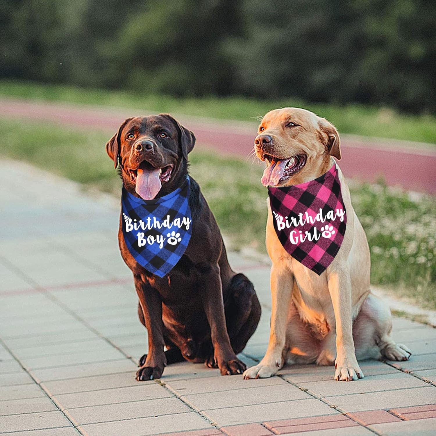 Plaid Dog Bandanas for Birthday Party Supplies (Blue and Pink)