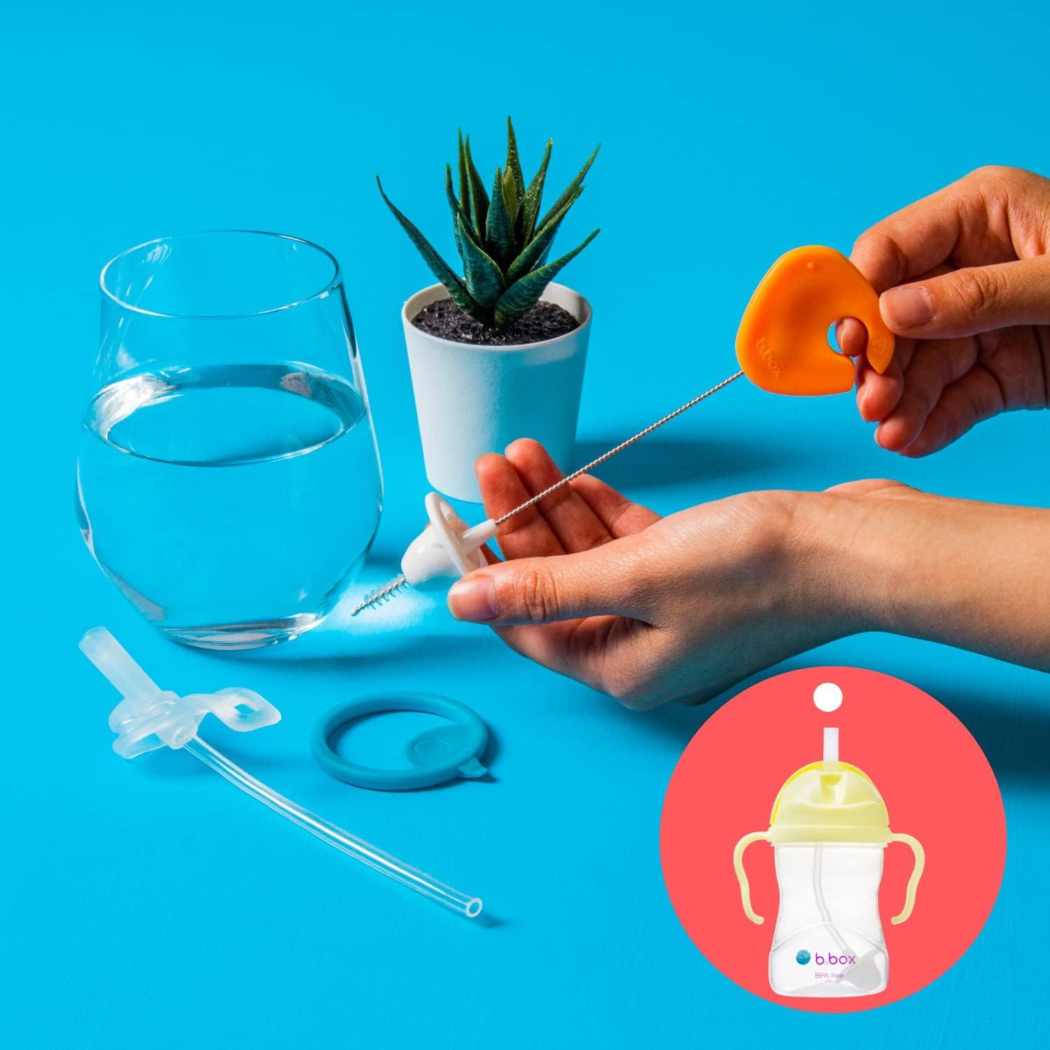 B.Box Bottle Cleaning Brush Set (Pack of 5)