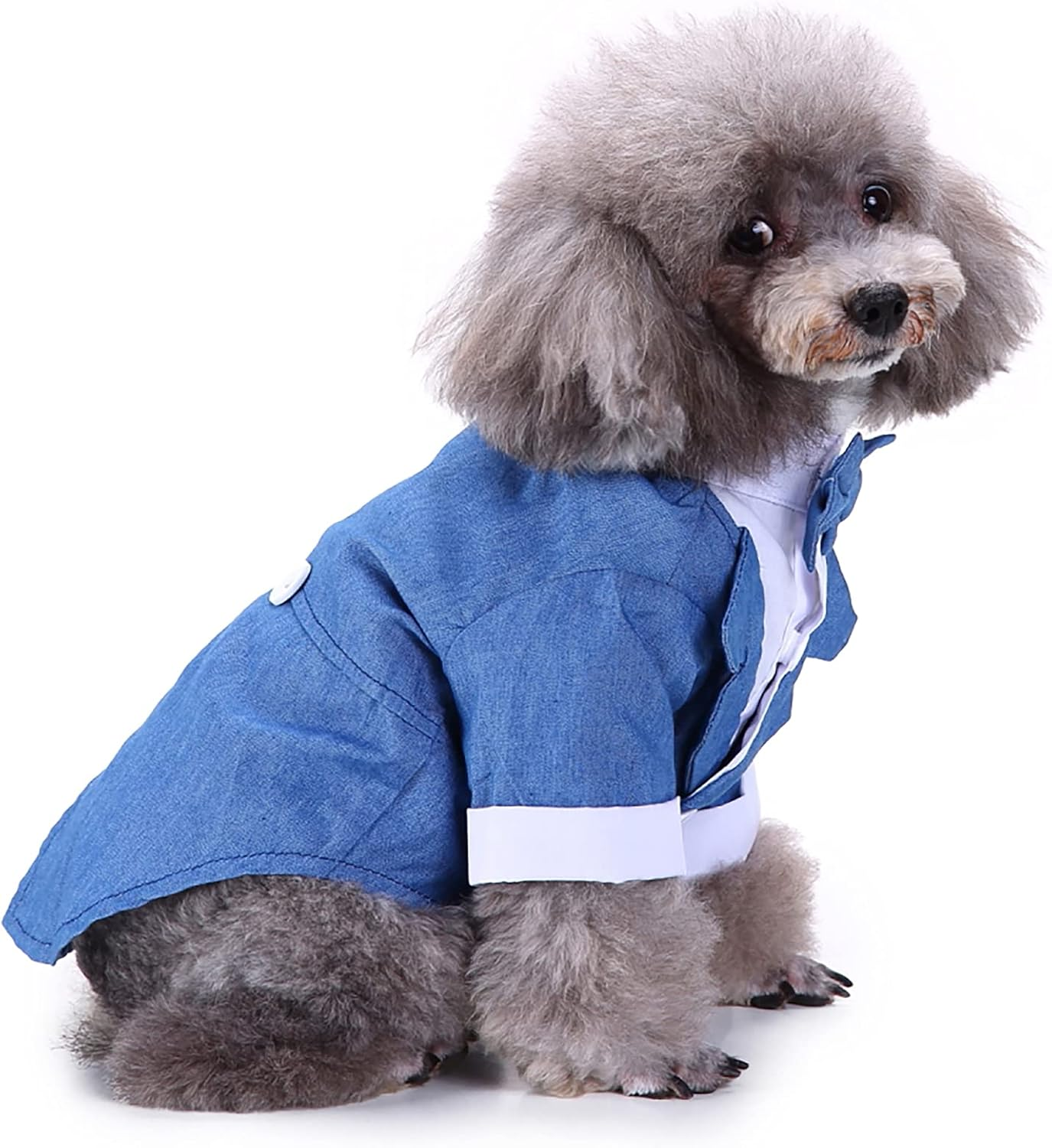 Black, White, Blue Dog Shirts for Wedding, Puppy Tuxedo, Dog Formal Wear, Doggie Tux, Suit and Tie Costume Blue Medium image number 7