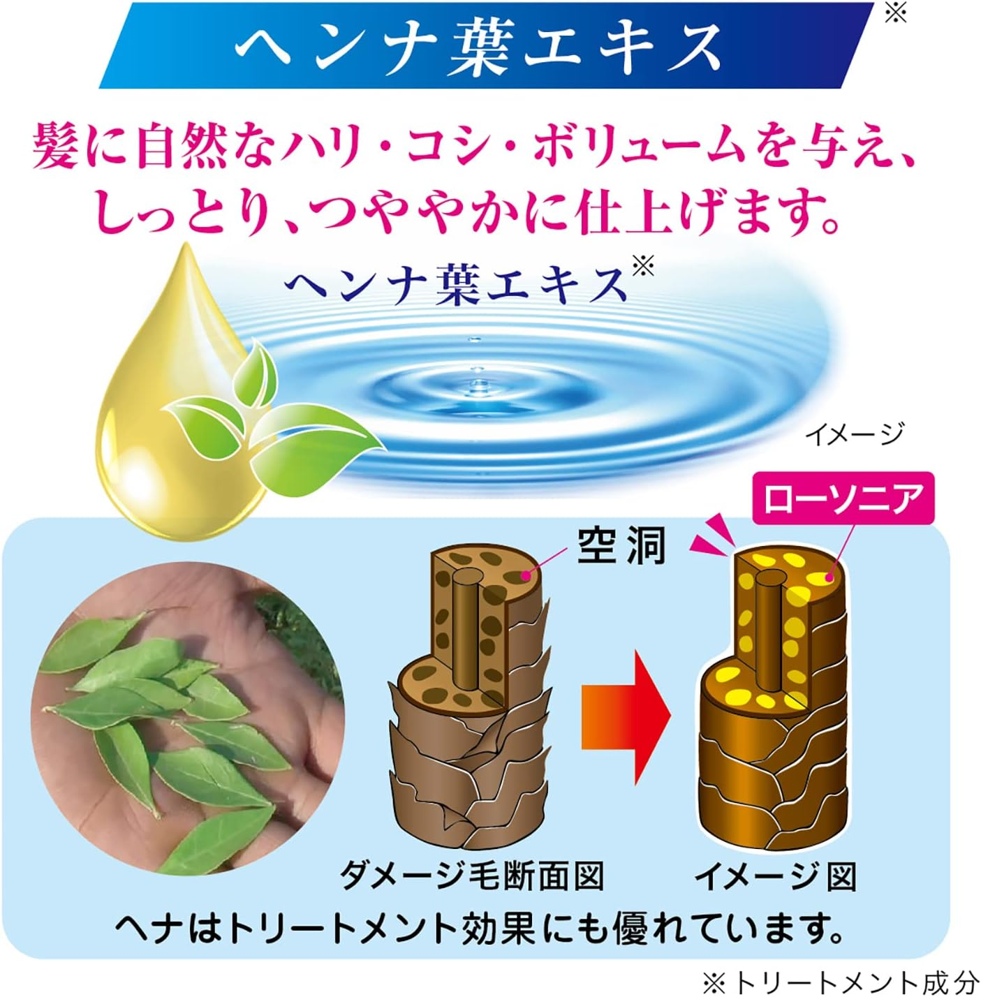 Color Shampoo image number 5