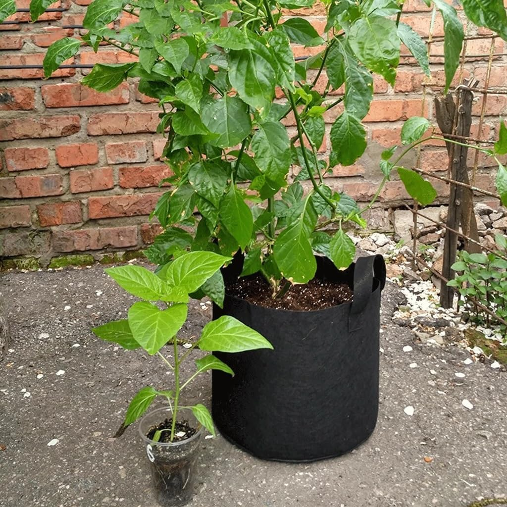 Grow Bags Felt Strong Plant Bag, for Gardening Fabric Grow Pot Vegetable Growing Planter Garden Flower Pots Garden Supplies (Color : Black, Size : 3Gallons 25X22Cm) image number 4
