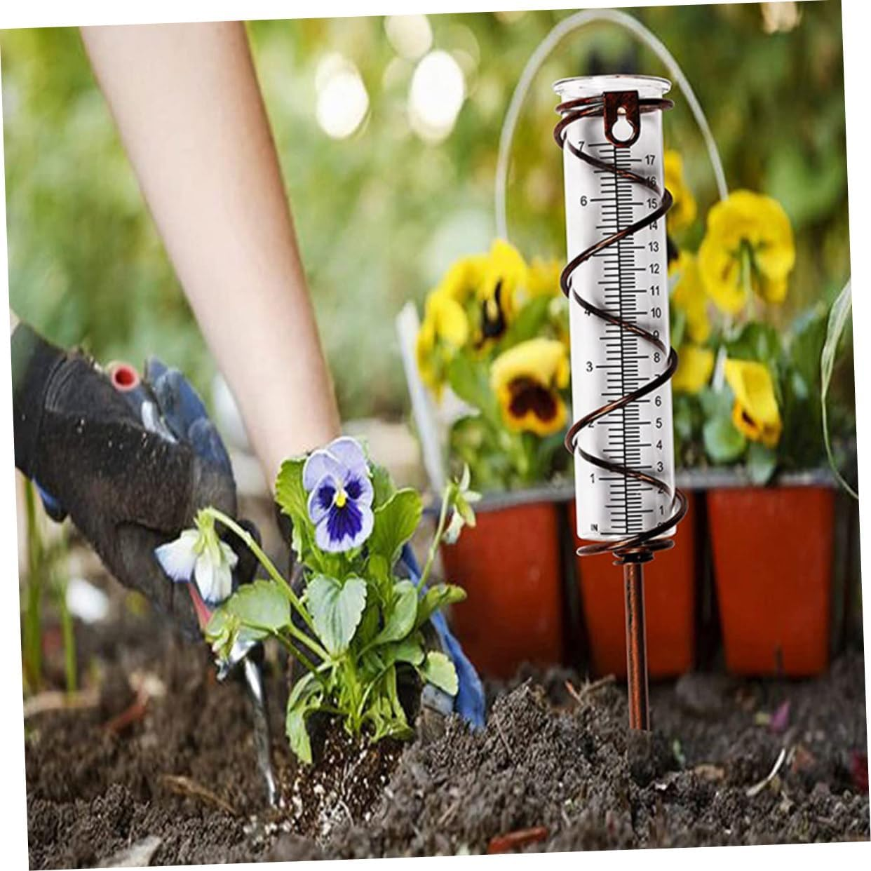 4Pcs Transparent Glass Rain Gauge Tubes with Design Accurate Rain Measuring Tools for Garden Lawn Patio Wear-Resistant Outdoor Collectors