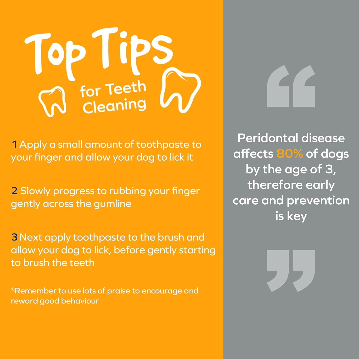 ARM & HAMMER Fresh Spectrum Coconut Mint Dog Dental Spray, 118Ml, Best Dental Care for Dogs, Removes Plaque & Tartar, Freshens Breath, Gum & Teeth Cleaning, No Brushing, Easy to Use Pet Oral Hygiene image number 2