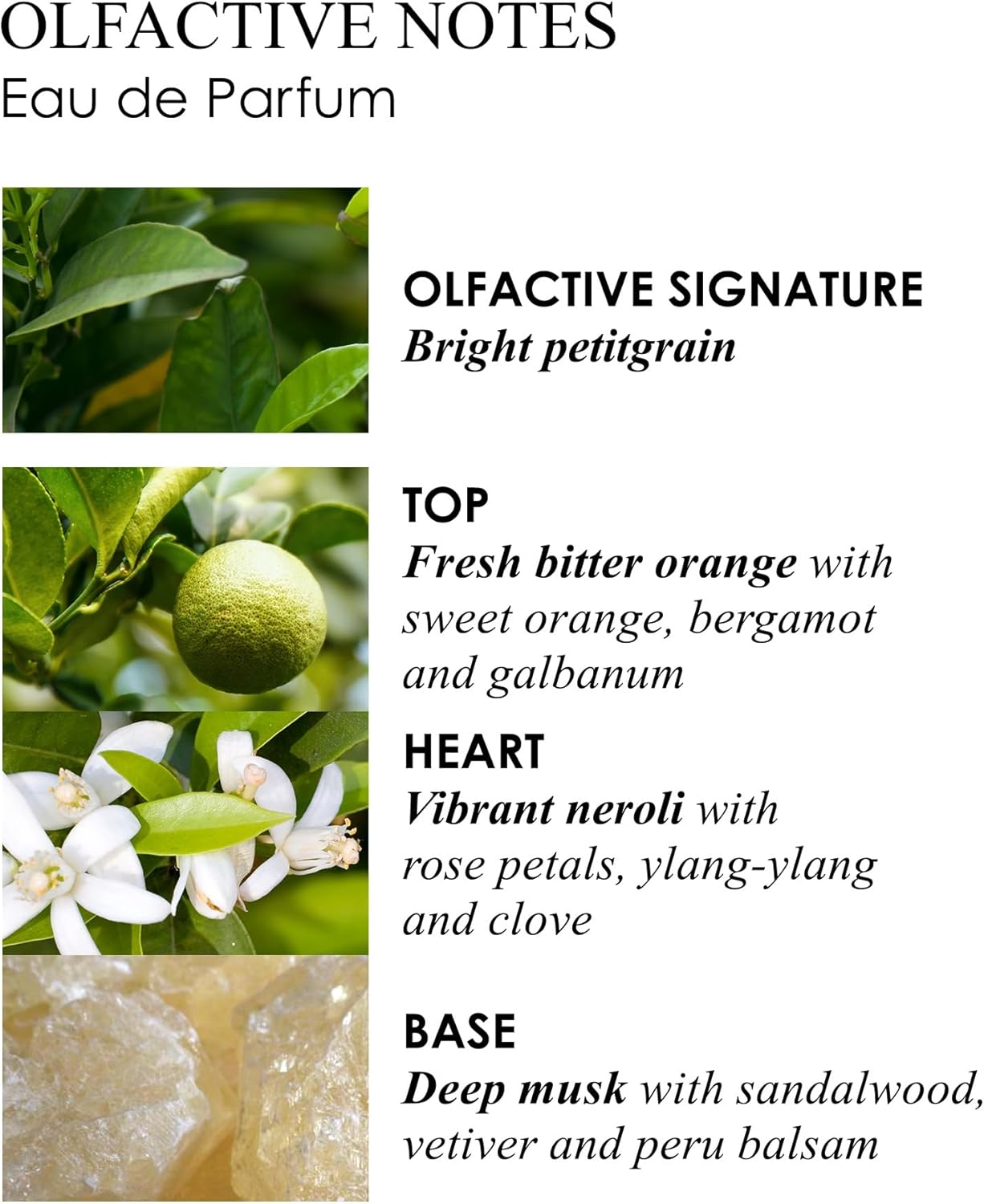 Orange and Bergamot by Molton Brown for Unisex - 3.3 Oz EDP Spray image number 6