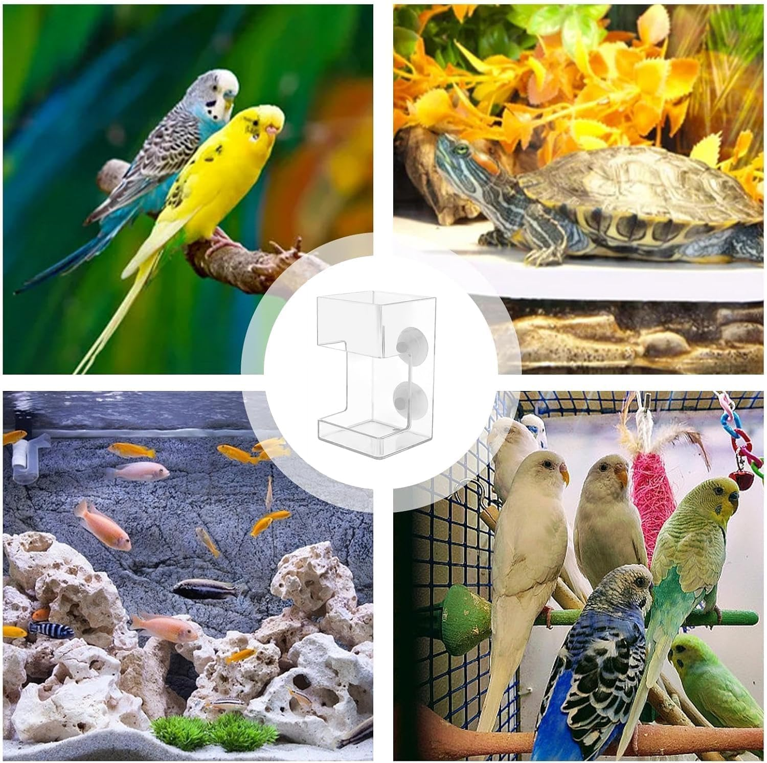 Clear Acrylic Fish Feeder with Suction Cup, Mess-Free Feeding Tray and Tube for Betta, Shrimp and Aquarium, Keeps Tank Water Clean image number 4