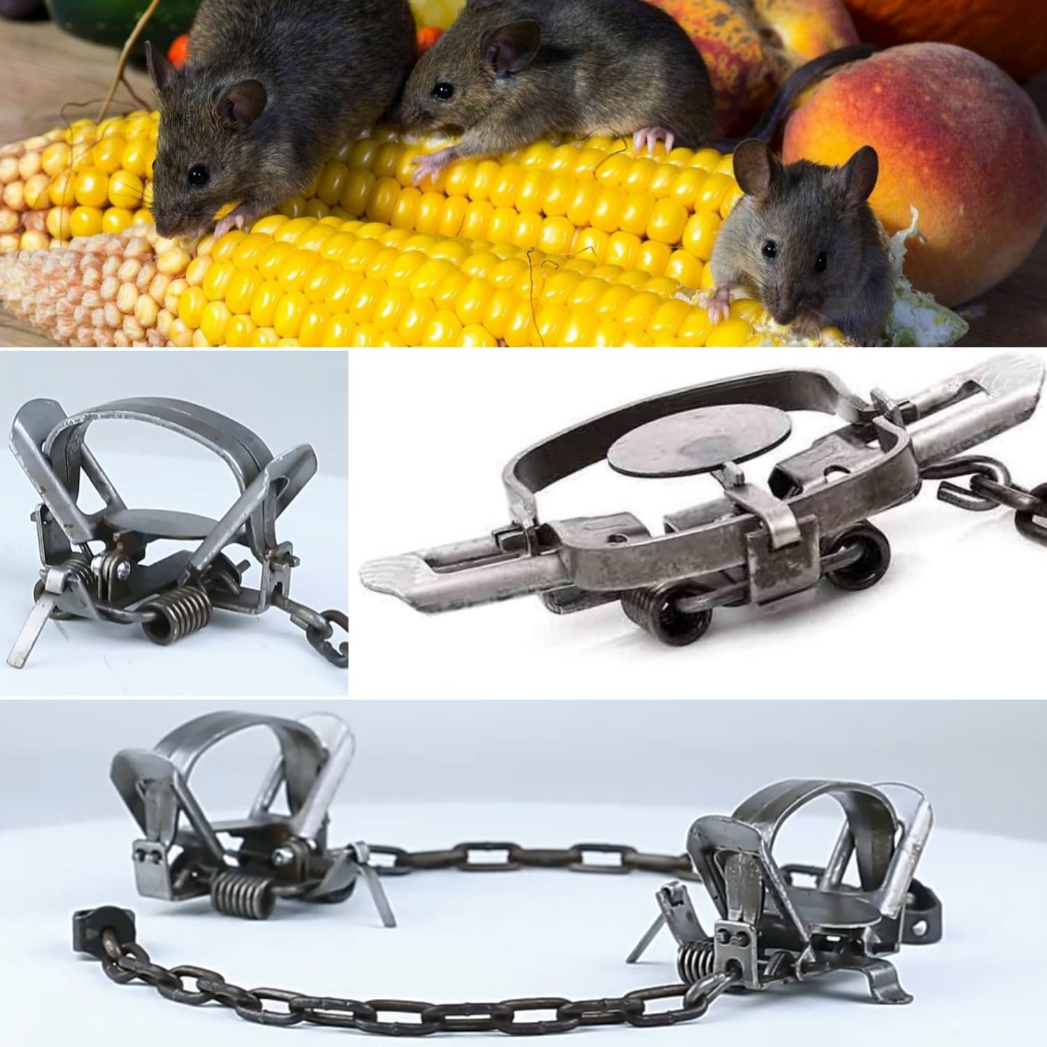 Taicols Rat Trap, 2 Pack Small Animal Traps, Metal Mouse Traps Quick Effectively, Rat and Chipmunk Traps, Outdoor Hunting Tools for Possum Raccoon Fox Rabbit Cat, Mice Trap, Pest Control for Rats image number 6