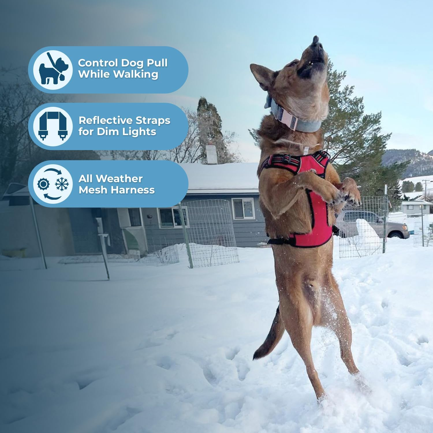 Best Pet Supplies Voyager Dual Attachment Outdoor Dog Harness and Leash Bundle by Best Pet Supplies | No-Pull Pet Walking Vest Harness - Red Lattice, M (Chest: 22-27") image number 1