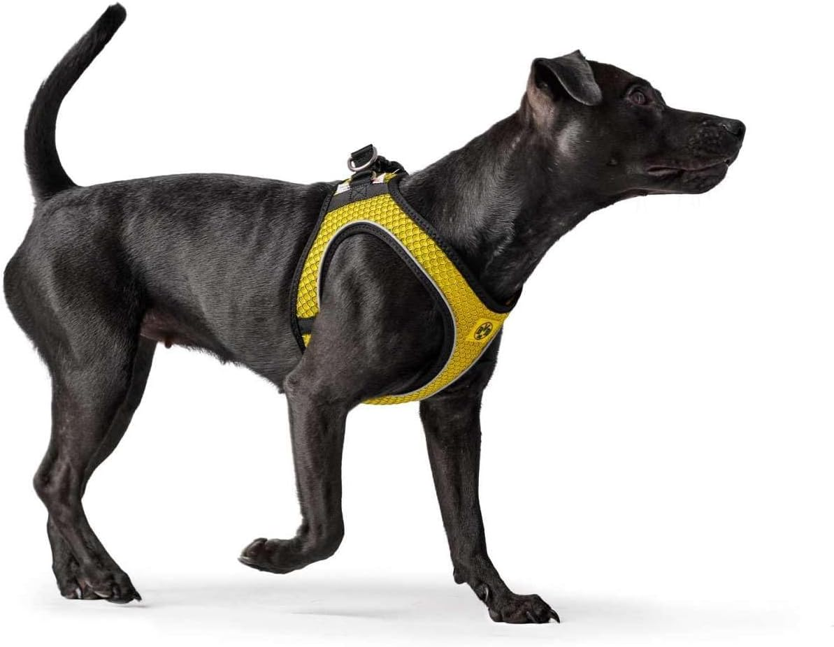 HUNTER Hilo Comfort BVB Dog Harness with 3D Mesh Material, Reflective, S-M, Yellow image number 5