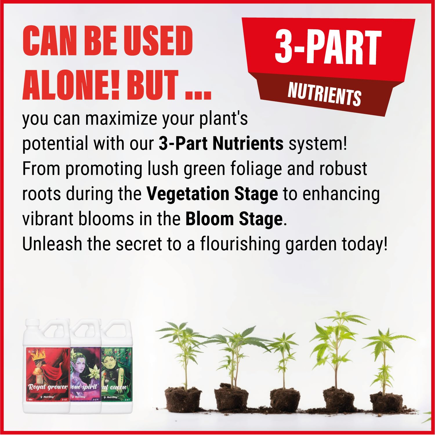 Grow Big Fertilizer and Plant Nutrients. Royal Grower 3-1-6 Liquid NPK Plant Food. for Indoor Outdoor Nutriling 1L image number 5