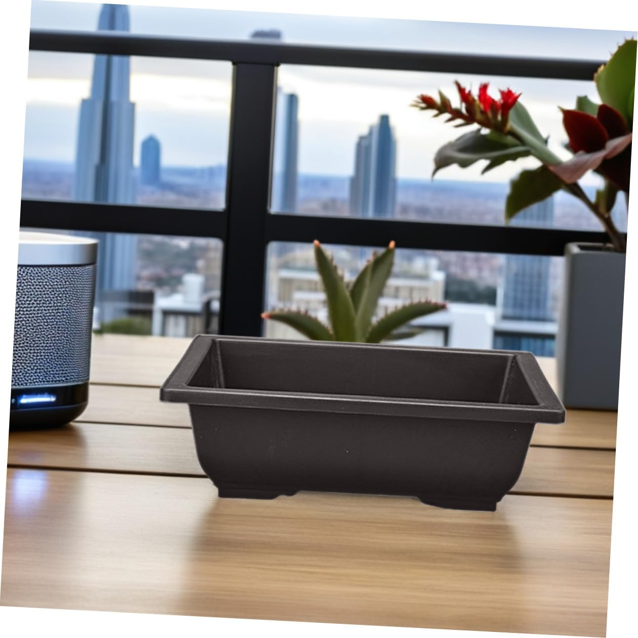 BESPORTBLE 5Pcs Rectangular Plastic Bonsai Planters for Home Gardening, Small Succulent Plant Pots without Tray, Sturdy Reusable Flower Containers for Indoor and Outdoor Use