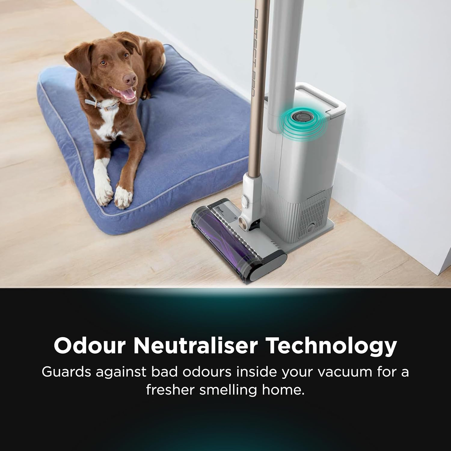 Shark Detect Pro Cordless Vacuum Cleaner with 2L Auto-Empty System, Ultra-Lightweight & Flexible anti Hair Wrap with Pet & Duster-Crevice Tools, 60 Mins Run-Time, Dock, IW3611ANZ, Colour: White/Brass image number 2