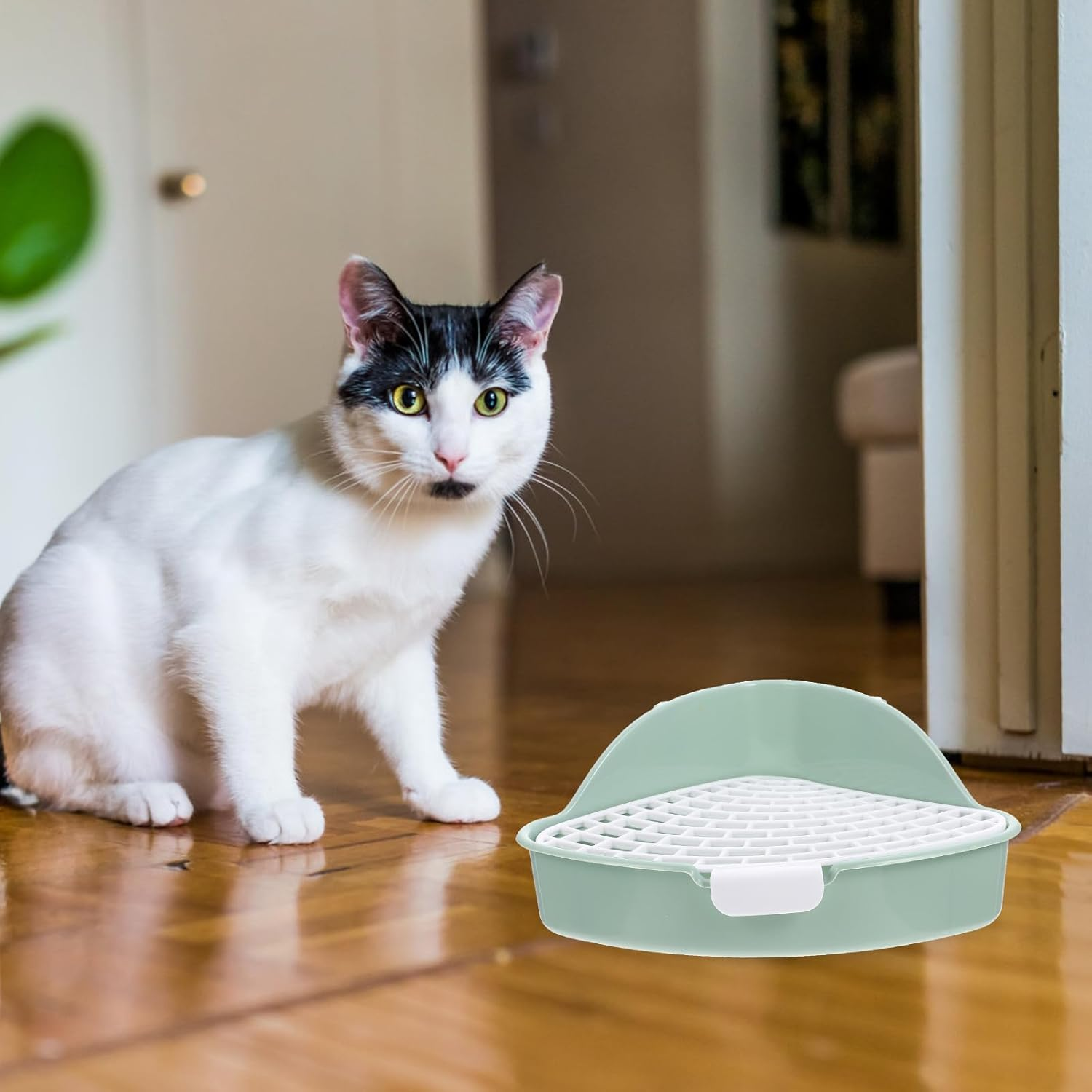 OHPHCALL Small Animals Litter Box Mint Green Corner Potty with Anti-Tip Design for Rabbits, Guinea Pigs, Chinchillas &ndash; Compact Bunny Cage Toilet for Pet Hygiene and Training image number 3